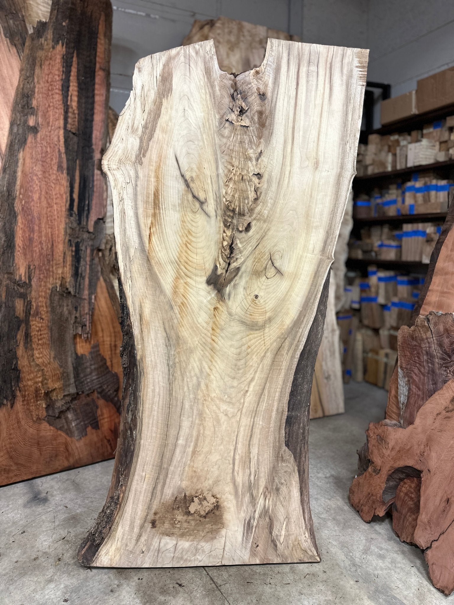 LiveEdge Myrtle | Myrtle | Double Diamond