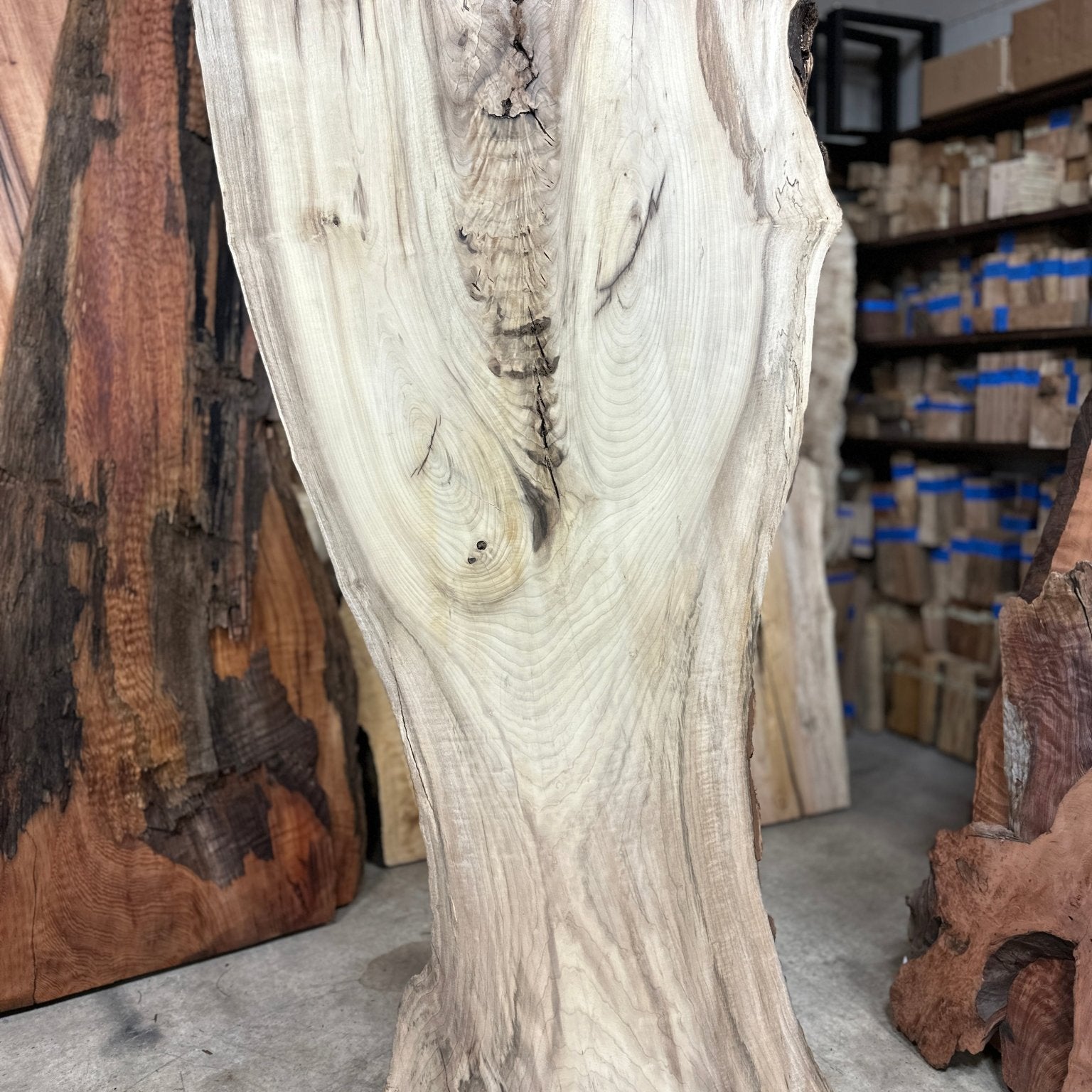 LiveEdge Myrtle | Myrtle | Double Diamond