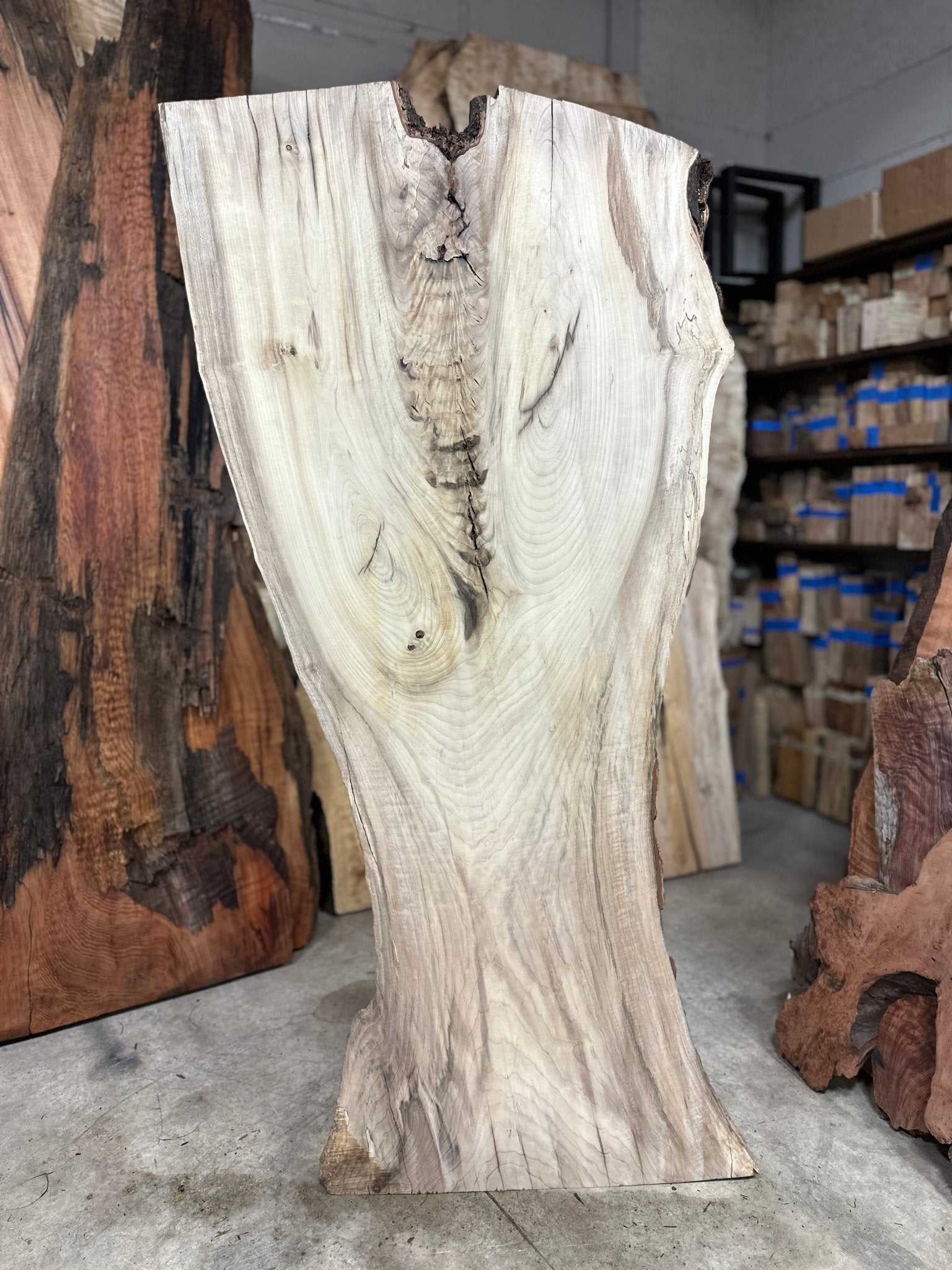 LiveEdge Myrtle | Myrtle | Double Diamond