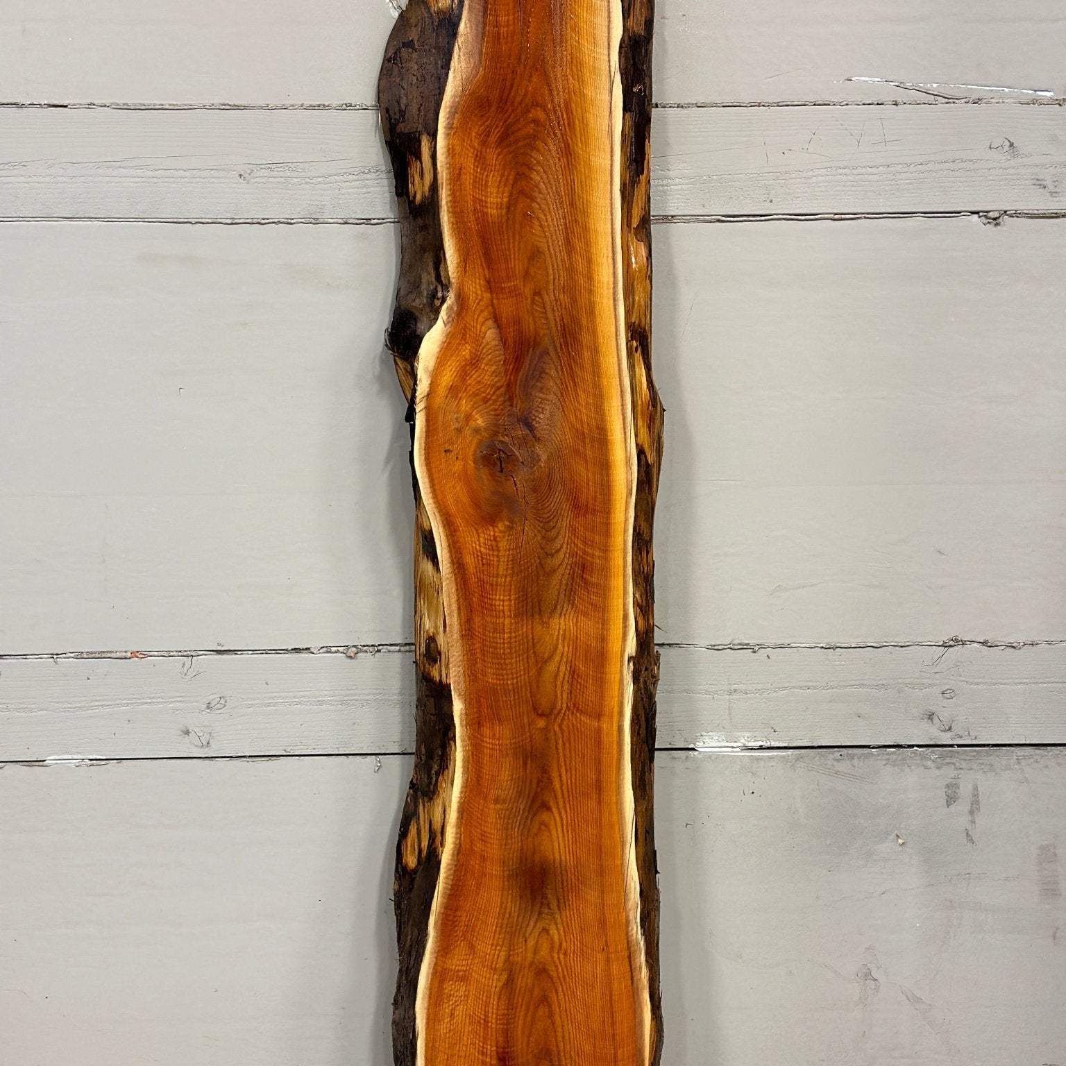 LiveEdge Pacific Yew | Pacific Yew | Adam Luna | BGALYEW684