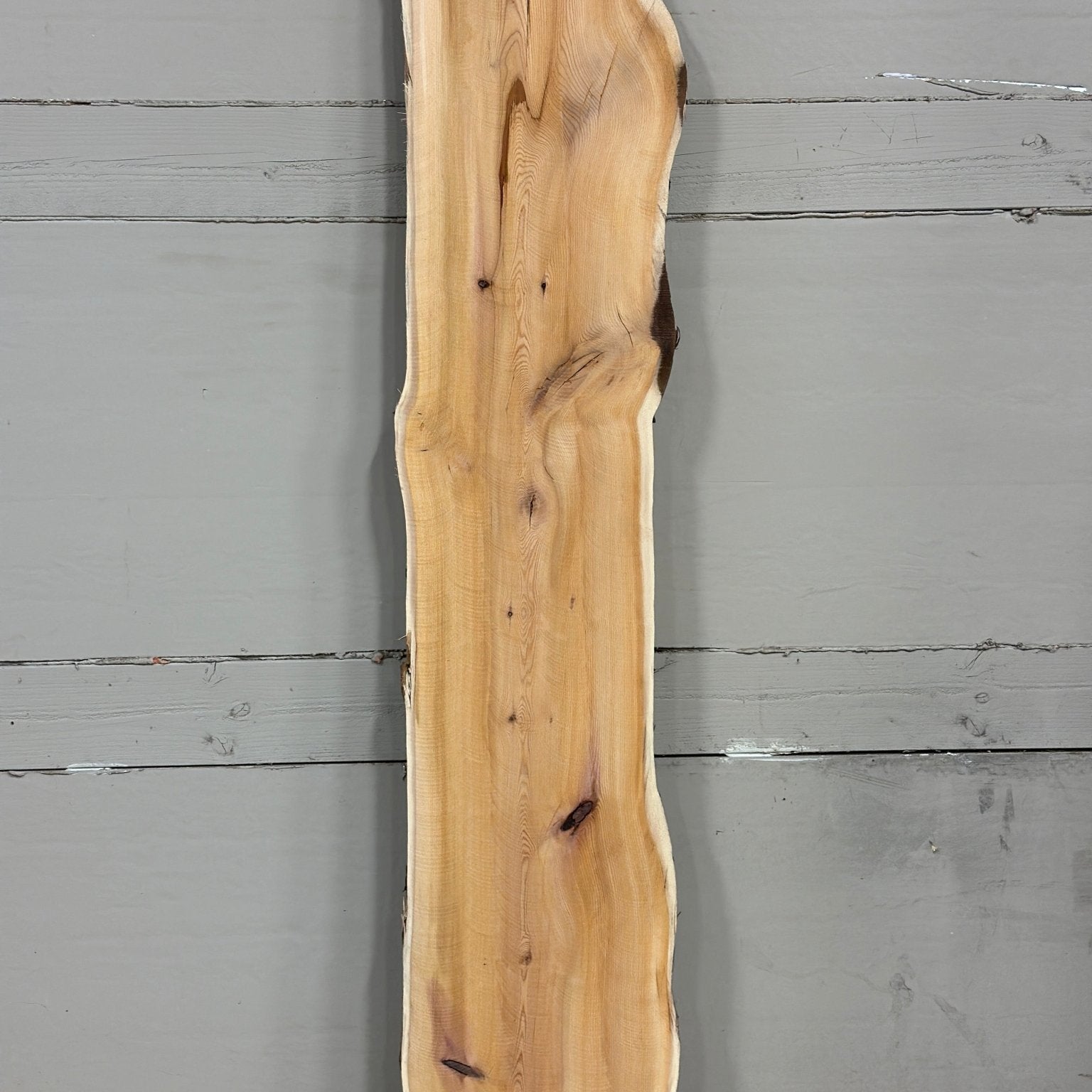 LiveEdge Pacific Yew | Pacific Yew | Adam Luna | BGALYEW684