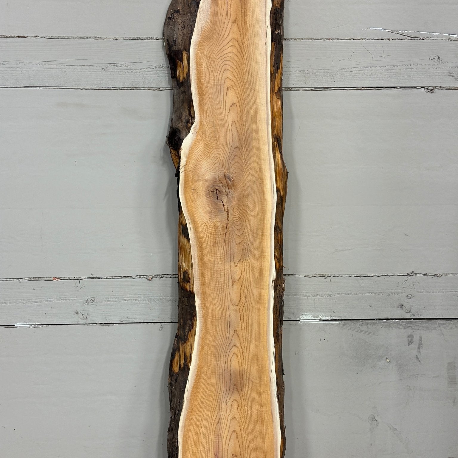 LiveEdge Pacific Yew | Pacific Yew | Adam Luna | BGALYEW684