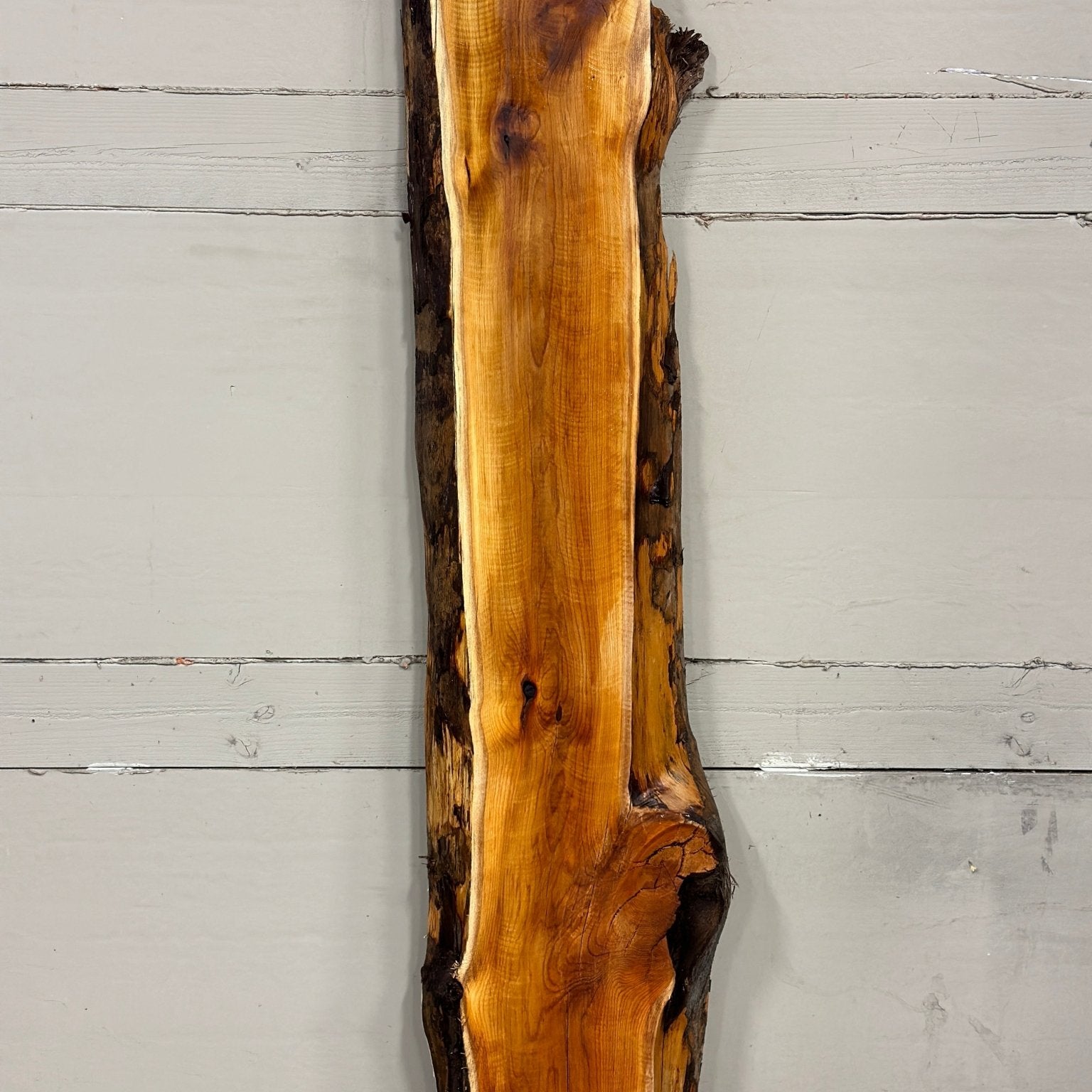 LiveEdge Pacific Yew | Pacific Yew | Adam Luna | BGALYEW688