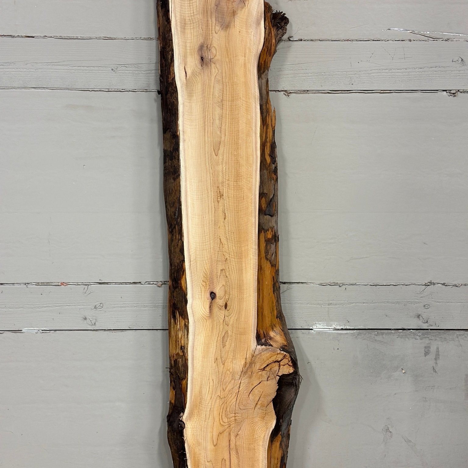 LiveEdge Pacific Yew | Pacific Yew | Adam Luna | BGALYEW688