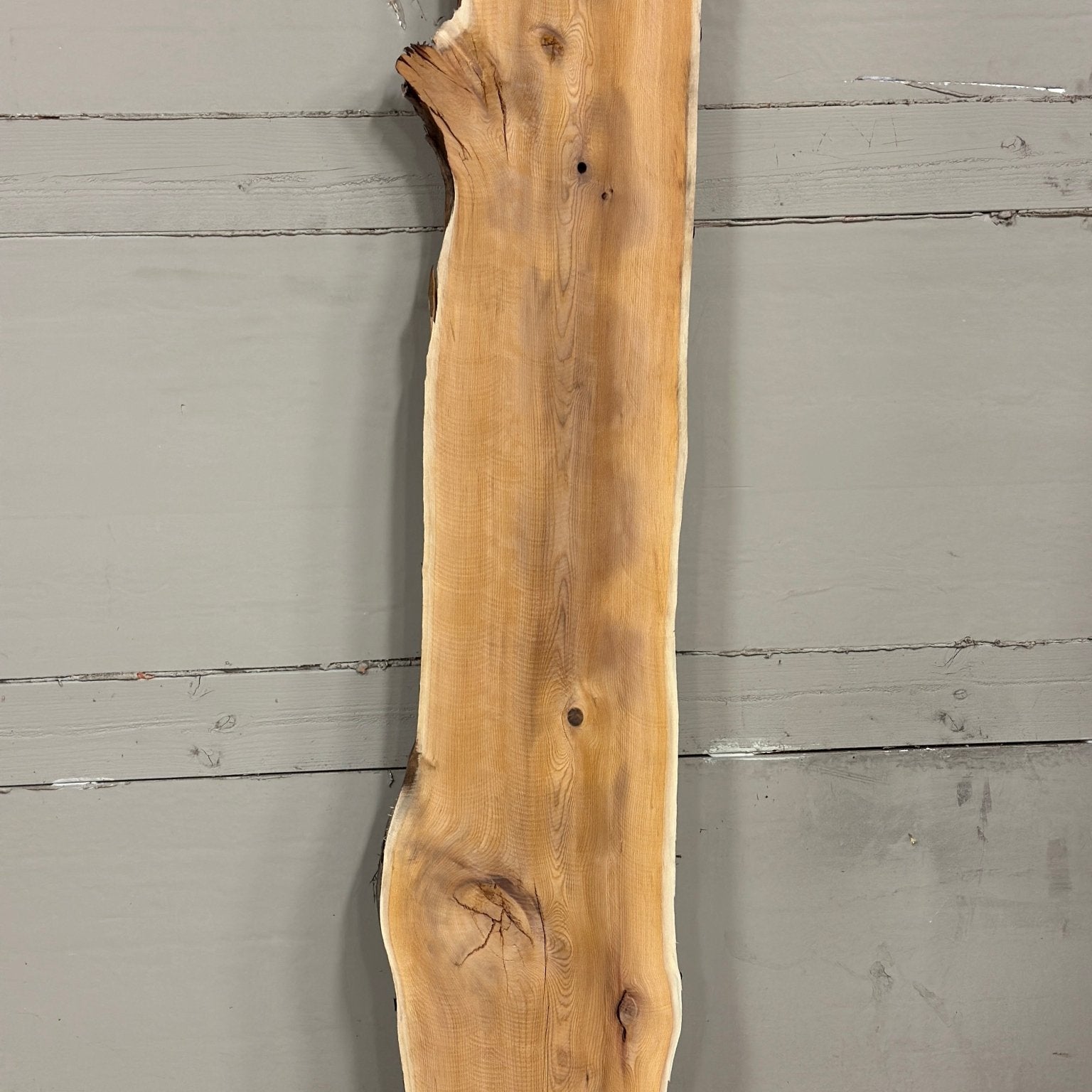 LiveEdge Pacific Yew | Pacific Yew | Adam Luna | BGALYEW688