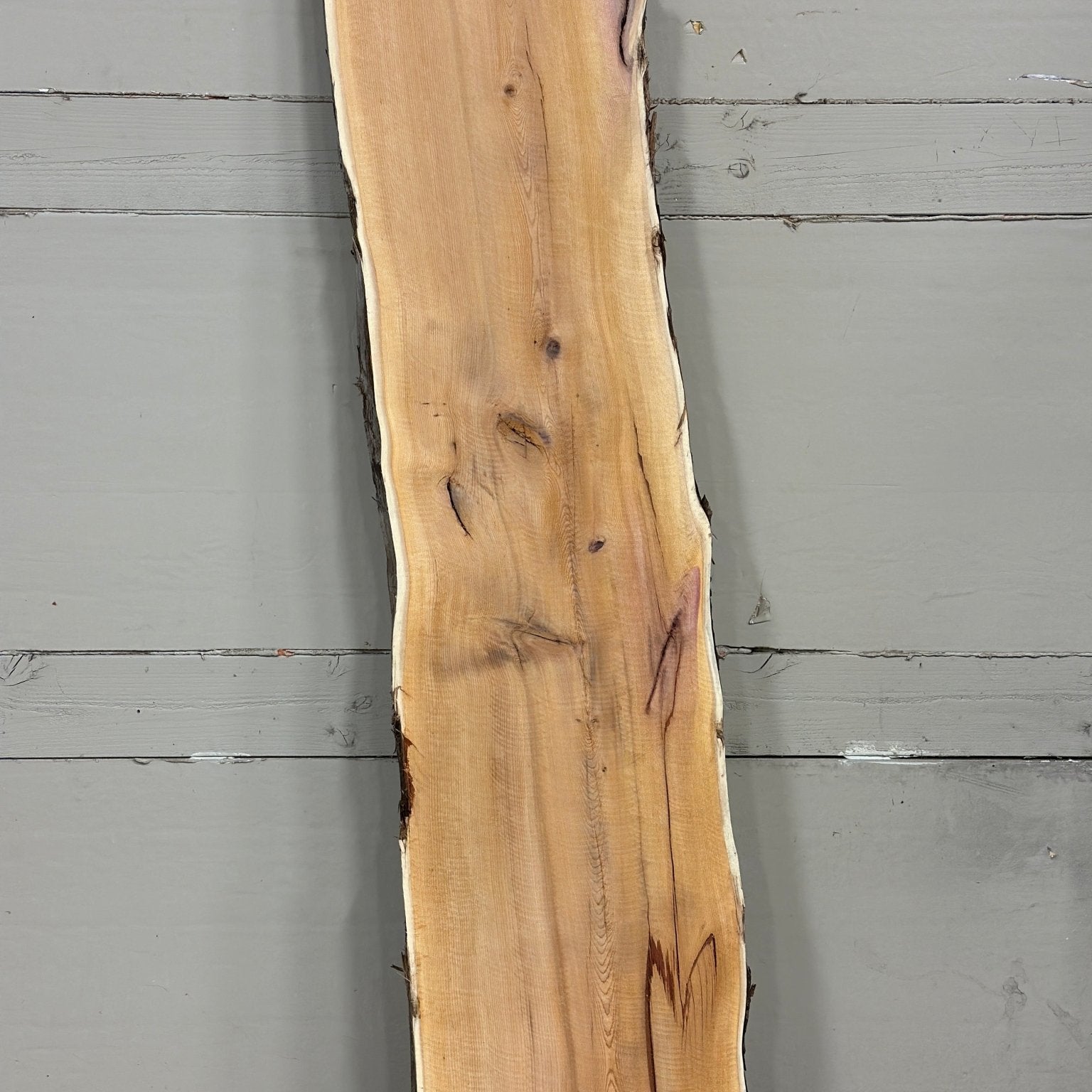 LiveEdge Pacific Yew | Pacific Yew | Adam Luna | BGALYEW689