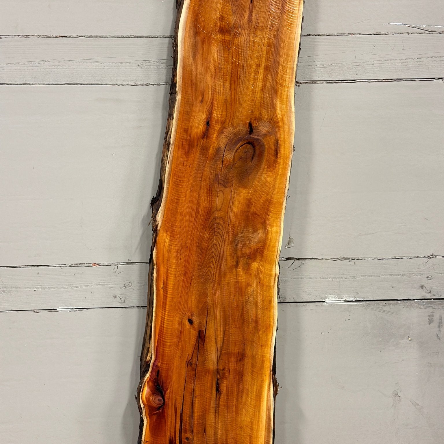 LiveEdge Pacific Yew | Pacific Yew | Adam Luna | BGALYEW689