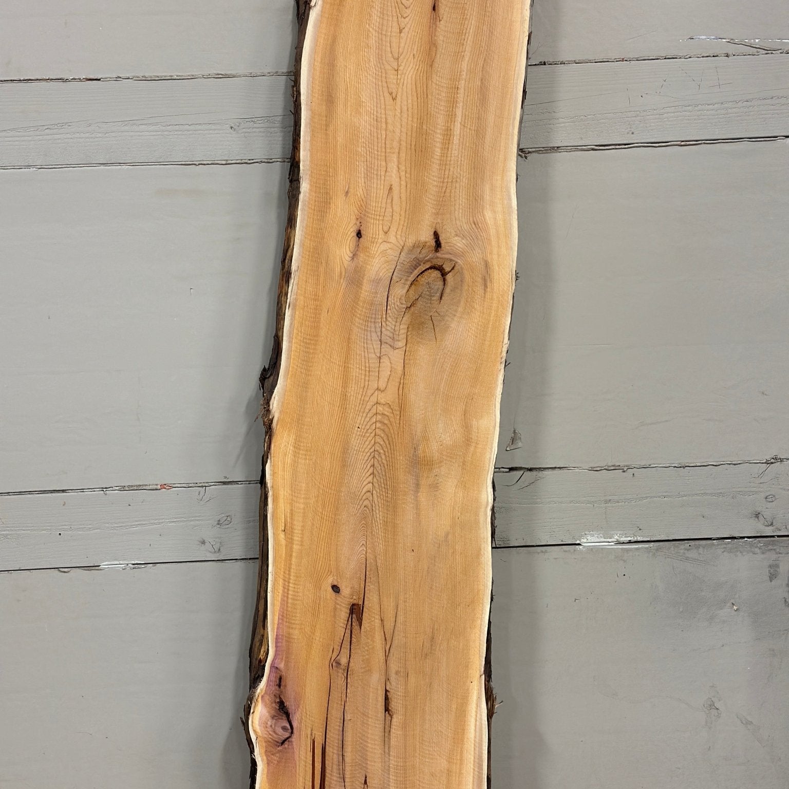 LiveEdge Pacific Yew | Pacific Yew | Adam Luna | BGALYEW689