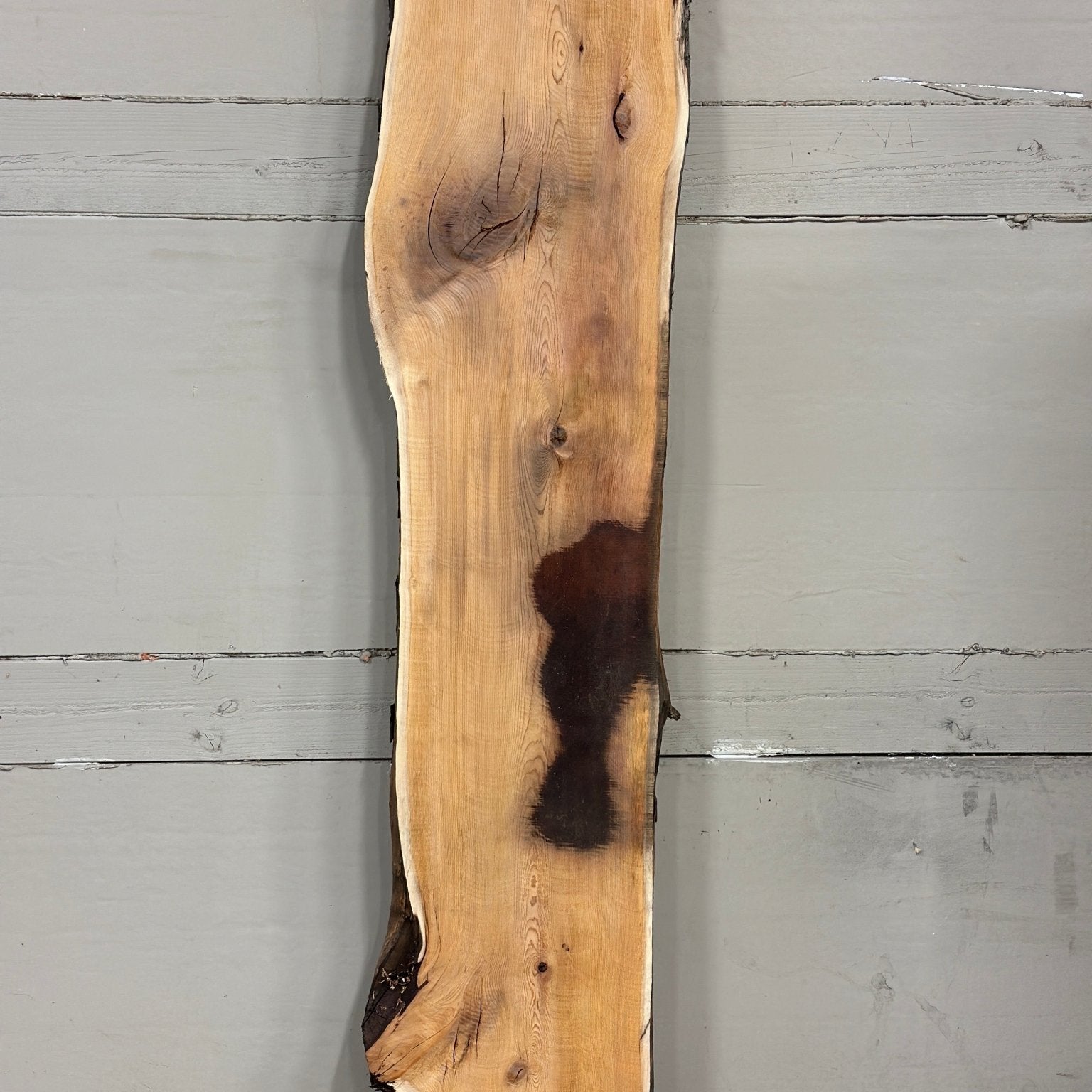 LiveEdge Pacific Yew | Pacific Yew | Adam Luna | BGALYEW690