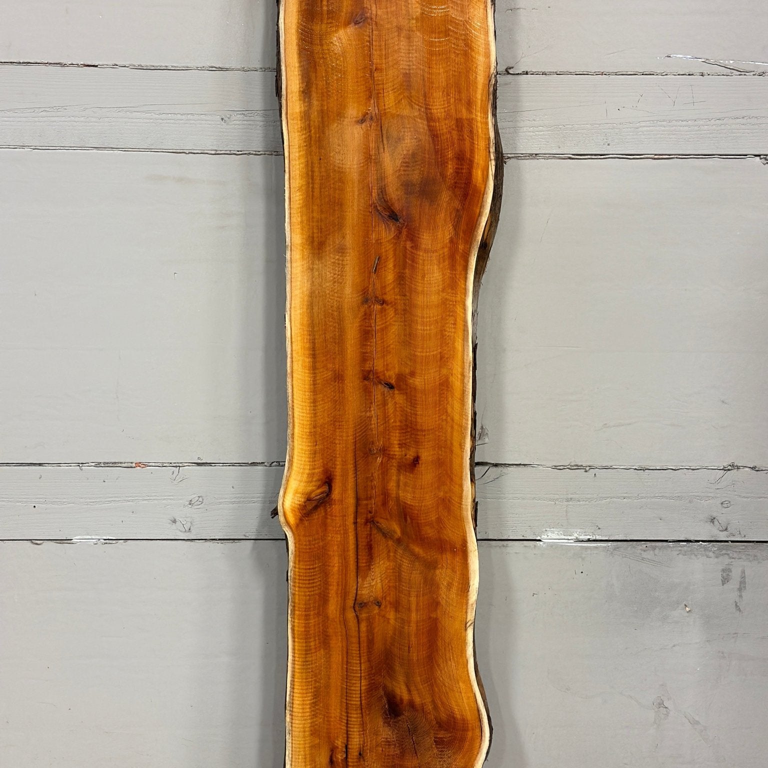 LiveEdge Pacific Yew | Pacific Yew | Adam Luna | BGALYEW690