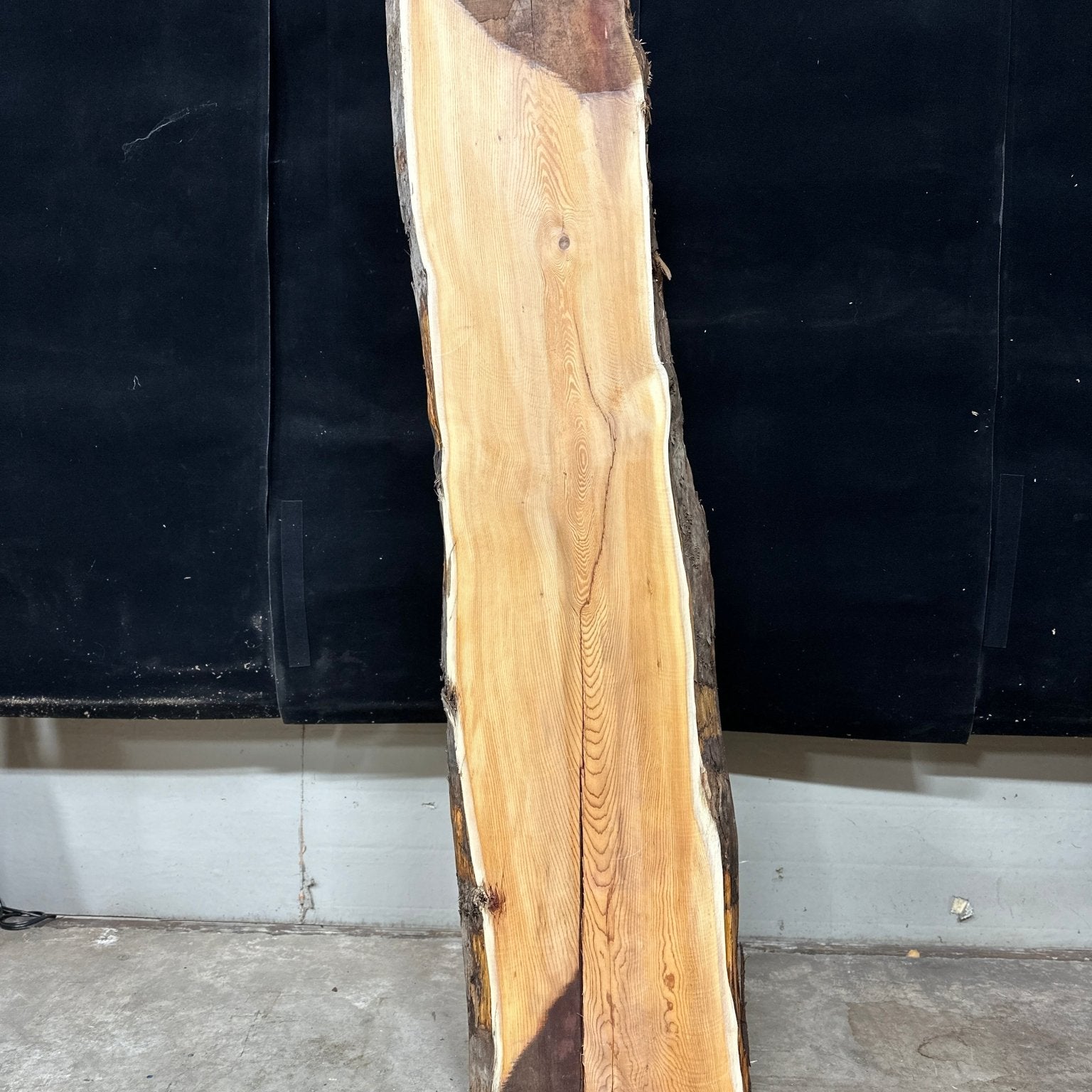 LiveEdge Pacific Yew | Pacific Yew | Adam Luna | BGALYEWCS.866