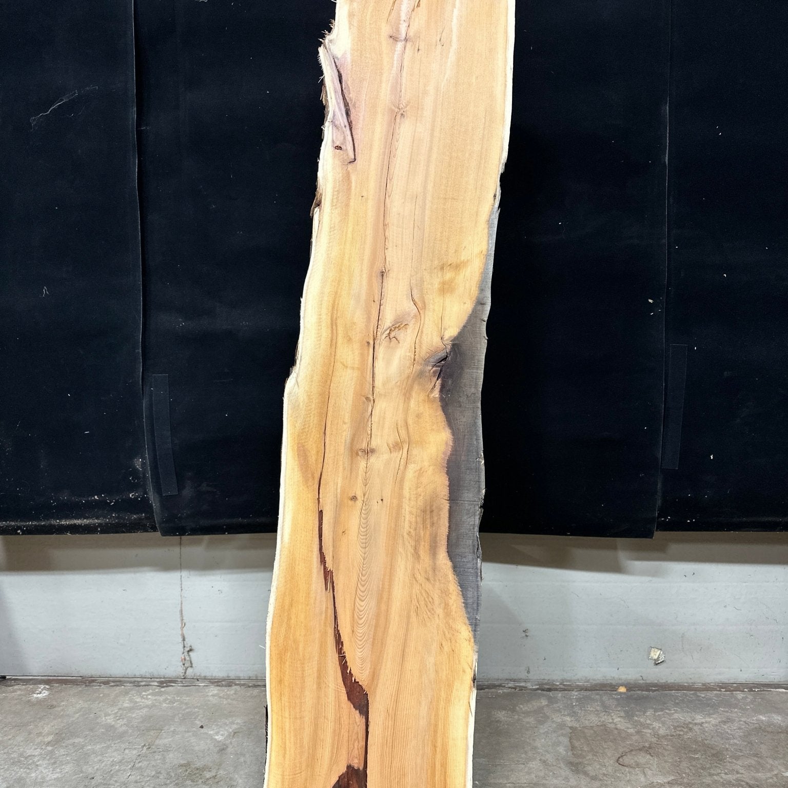 LiveEdge Pacific Yew | Pacific Yew | Adam Luna | BGALYEWCS.866
