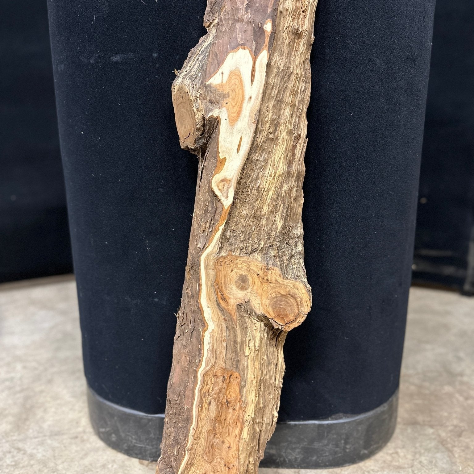 LiveEdge Pacific Yew | Pacific Yew | Double Diamond | BGDDYEWCS.817