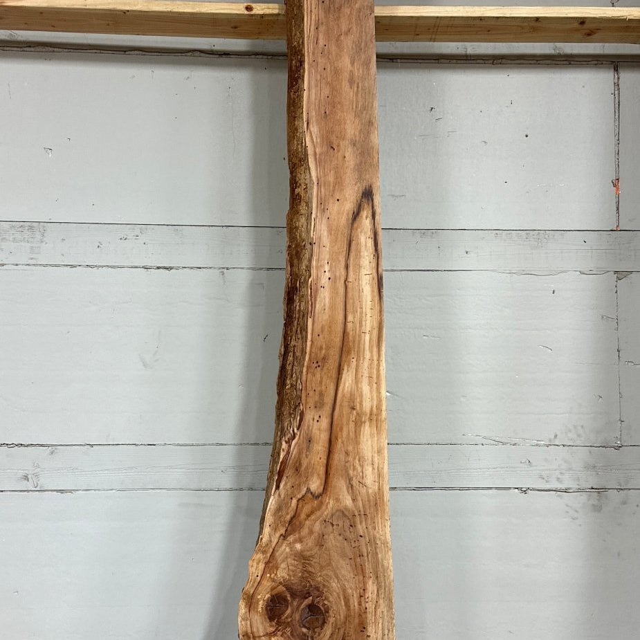 LiveEdge Pecan | Pecan | Hamilton Lee Supply | BGHLSPC685