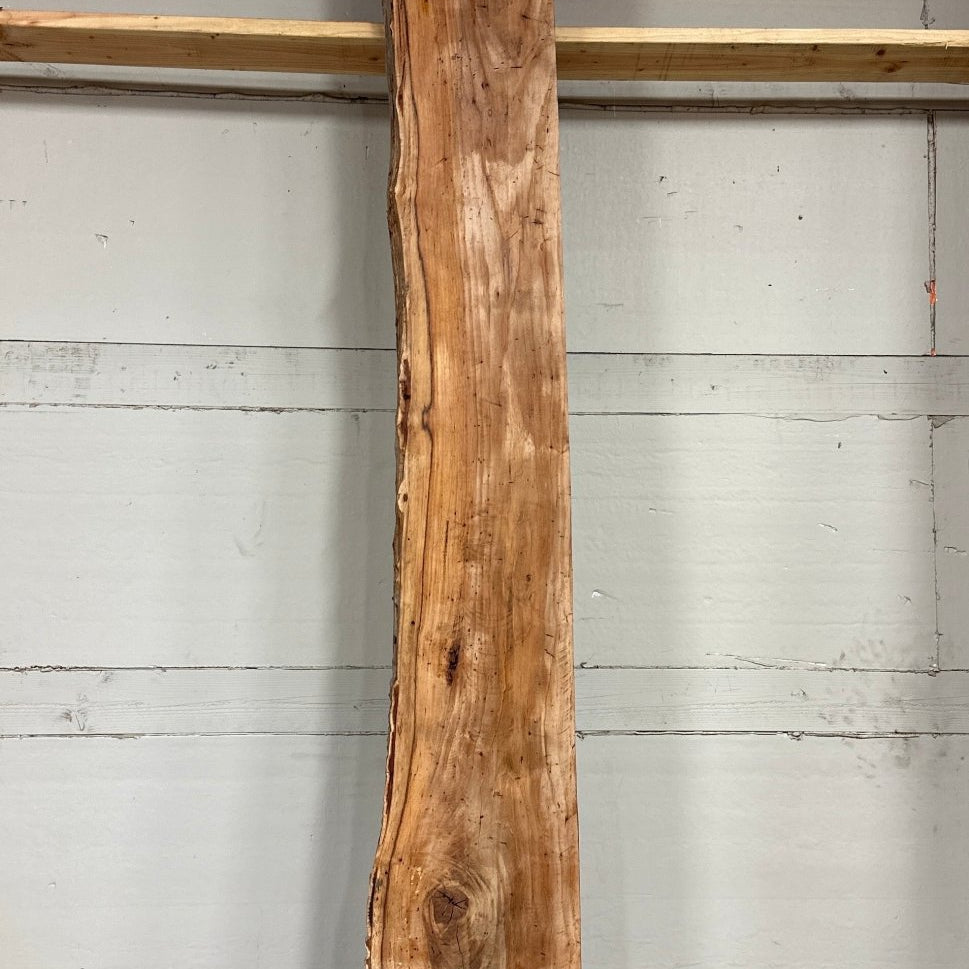 LiveEdge Pecan | Pecan | Hamilton Lee Supply | BGHLSPC686