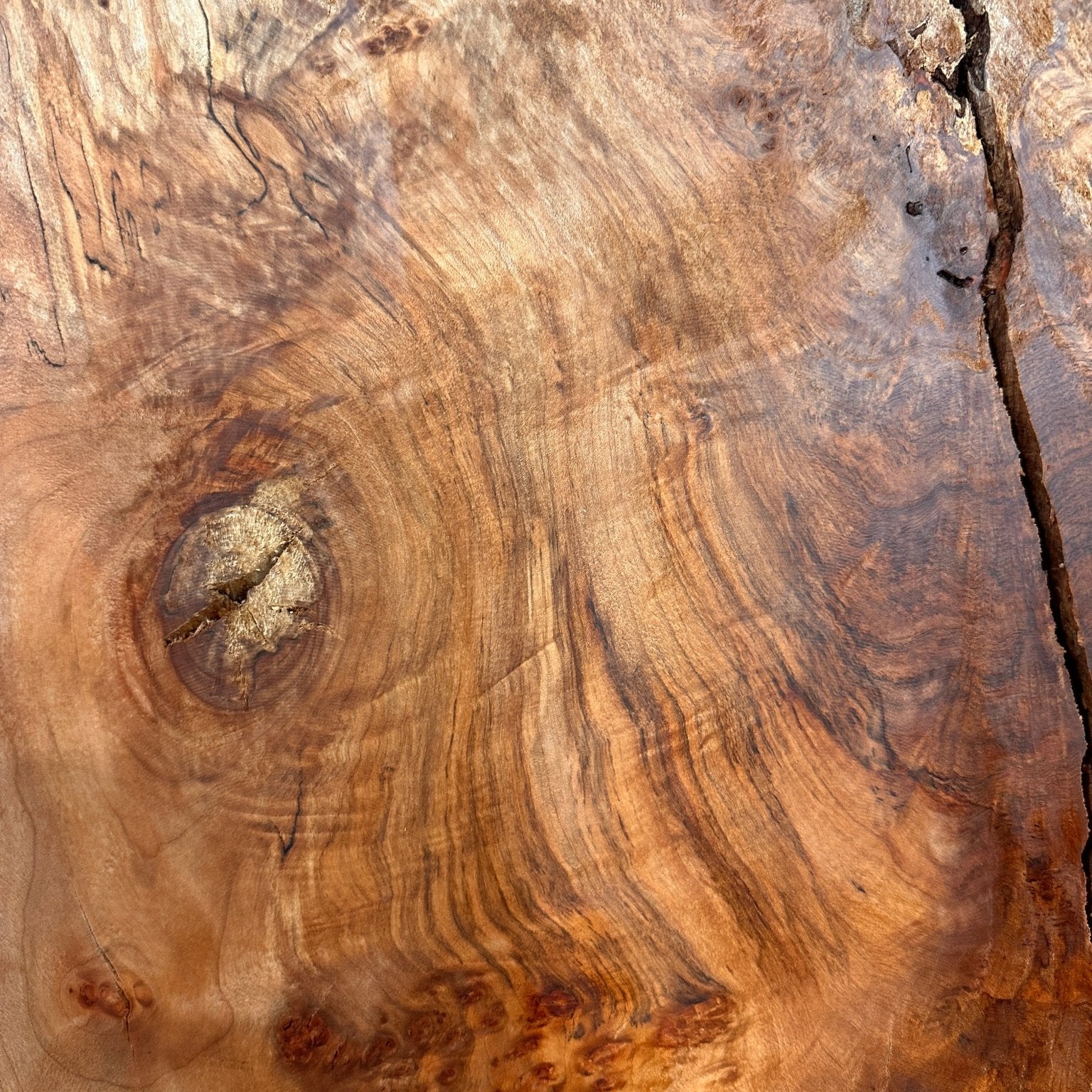 LiveEdge Silver Maple | Black Locust | Double Diamond