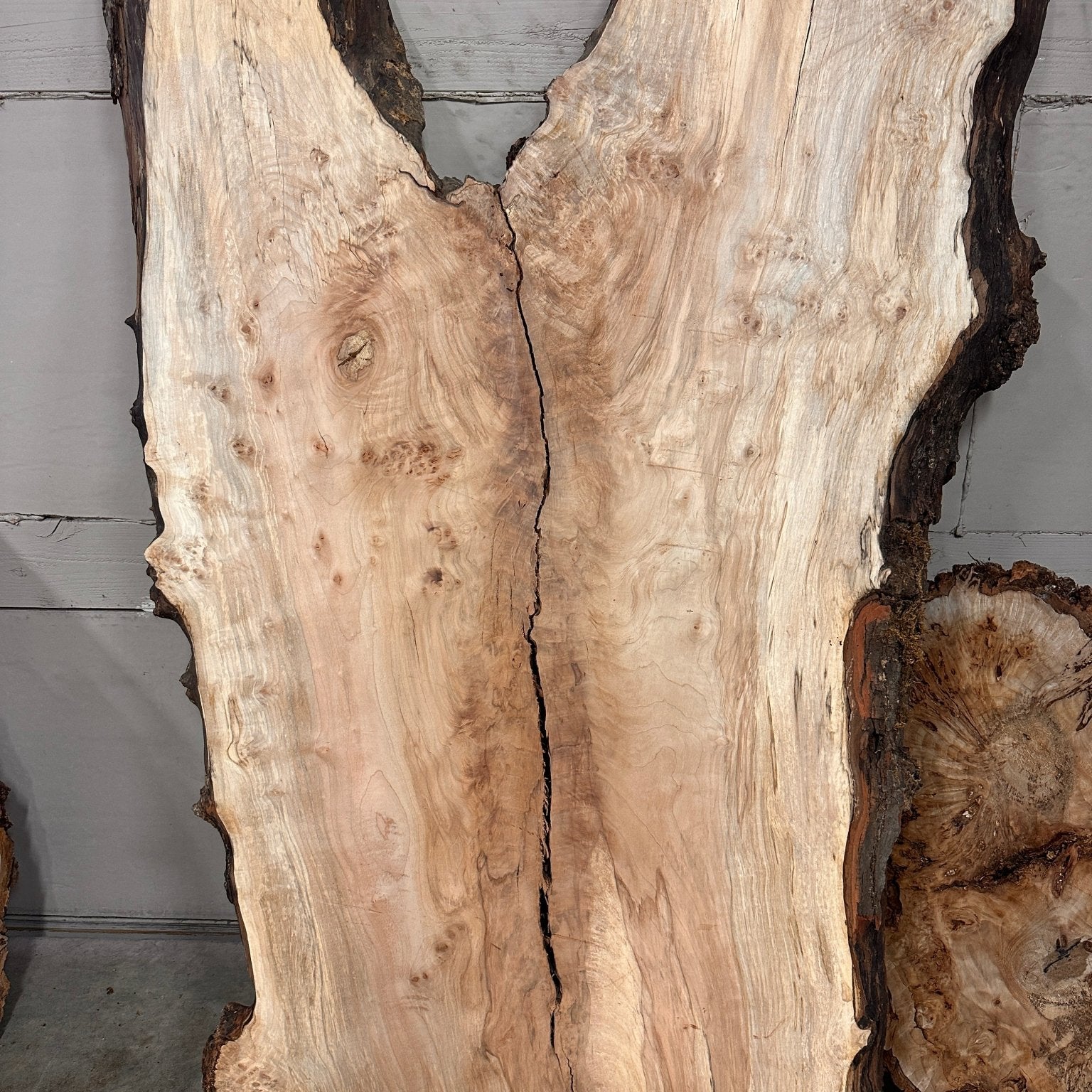 LiveEdge Silver Maple | Black Locust | Double Diamond
