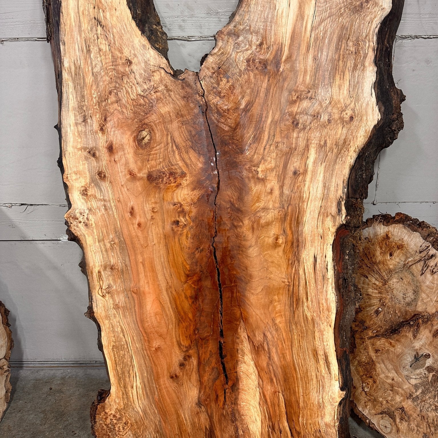 LiveEdge Silver Maple | Black Locust | Double Diamond