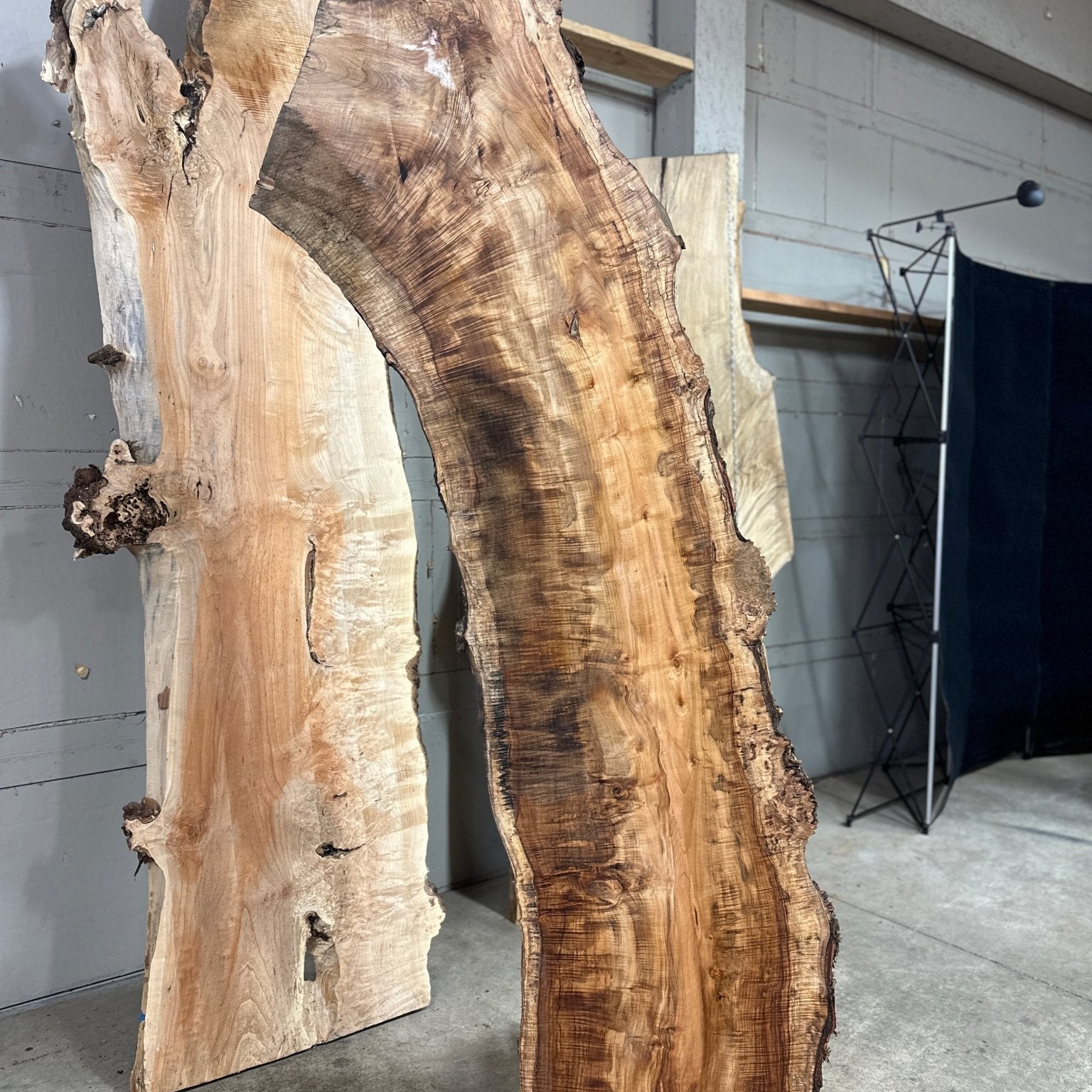 LiveEdge Silver Maple | Myrtle | Double Diamond
