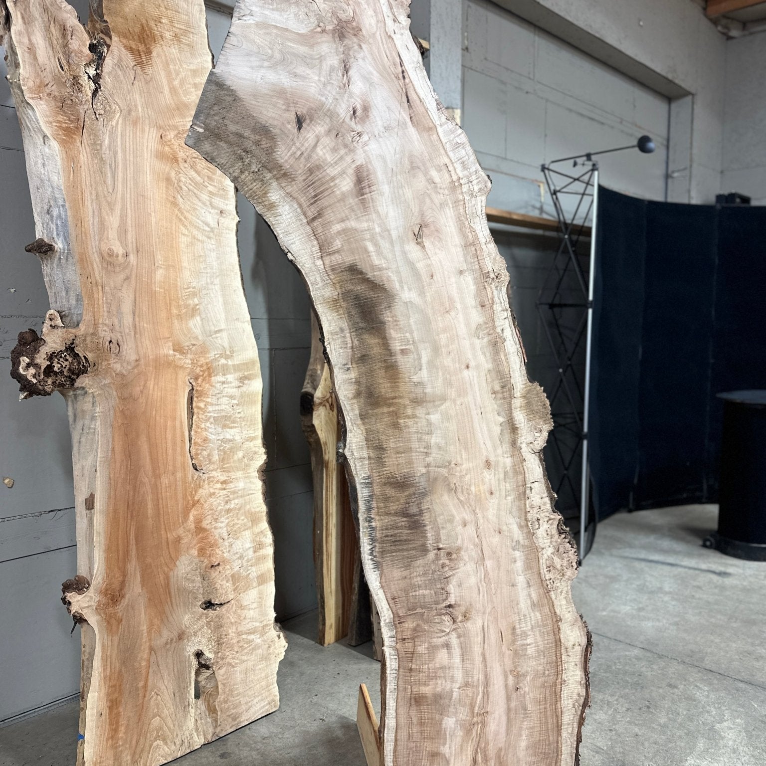 LiveEdge Silver Maple | Myrtle | Double Diamond