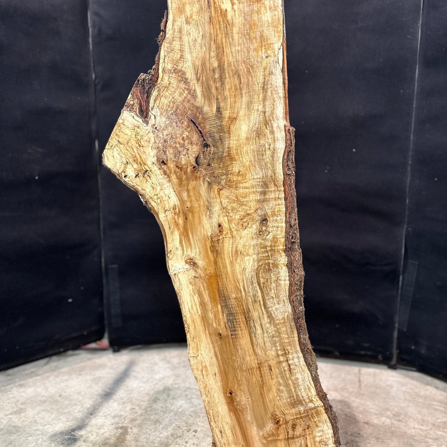 LiveEdge Silver Maple | Silver Maple | Double Diamond