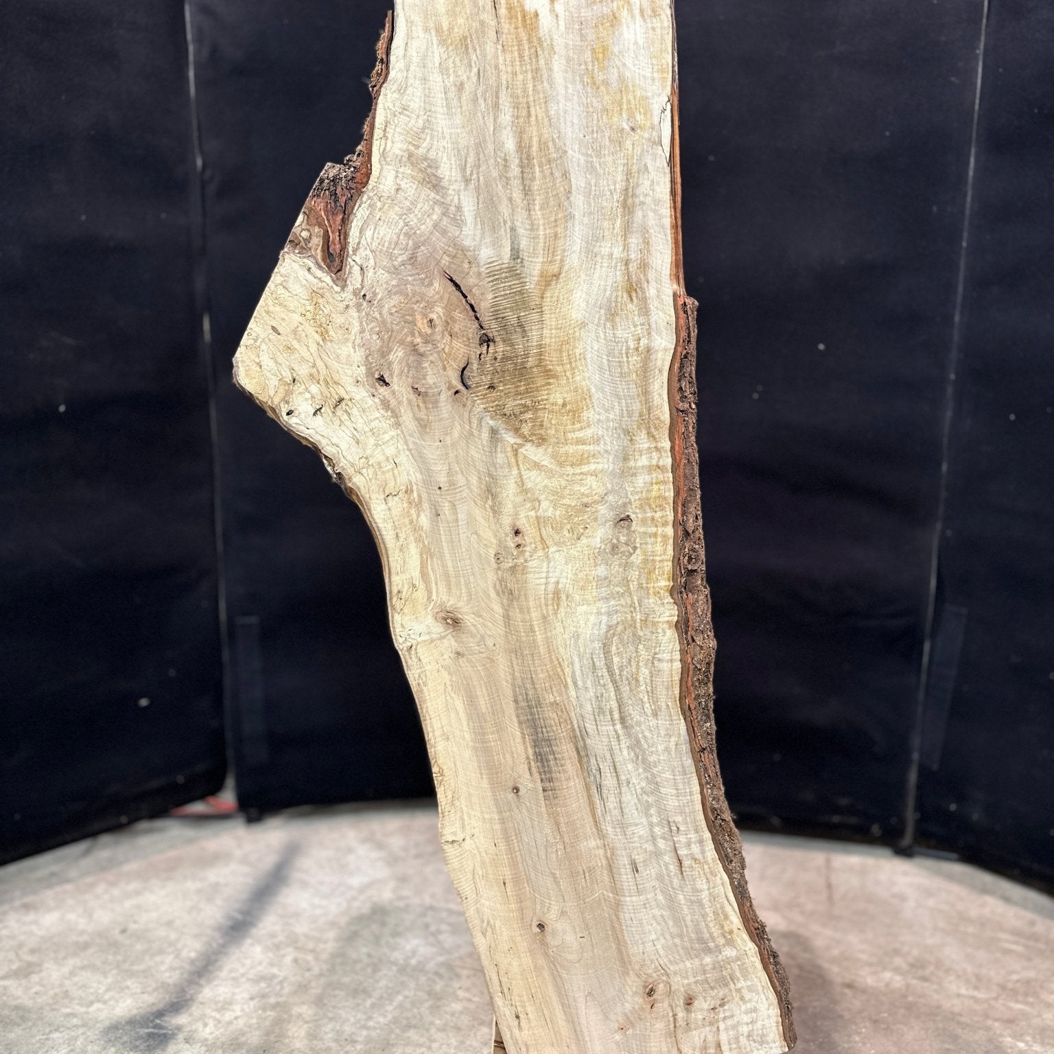 LiveEdge Silver Maple | Silver Maple | Double Diamond