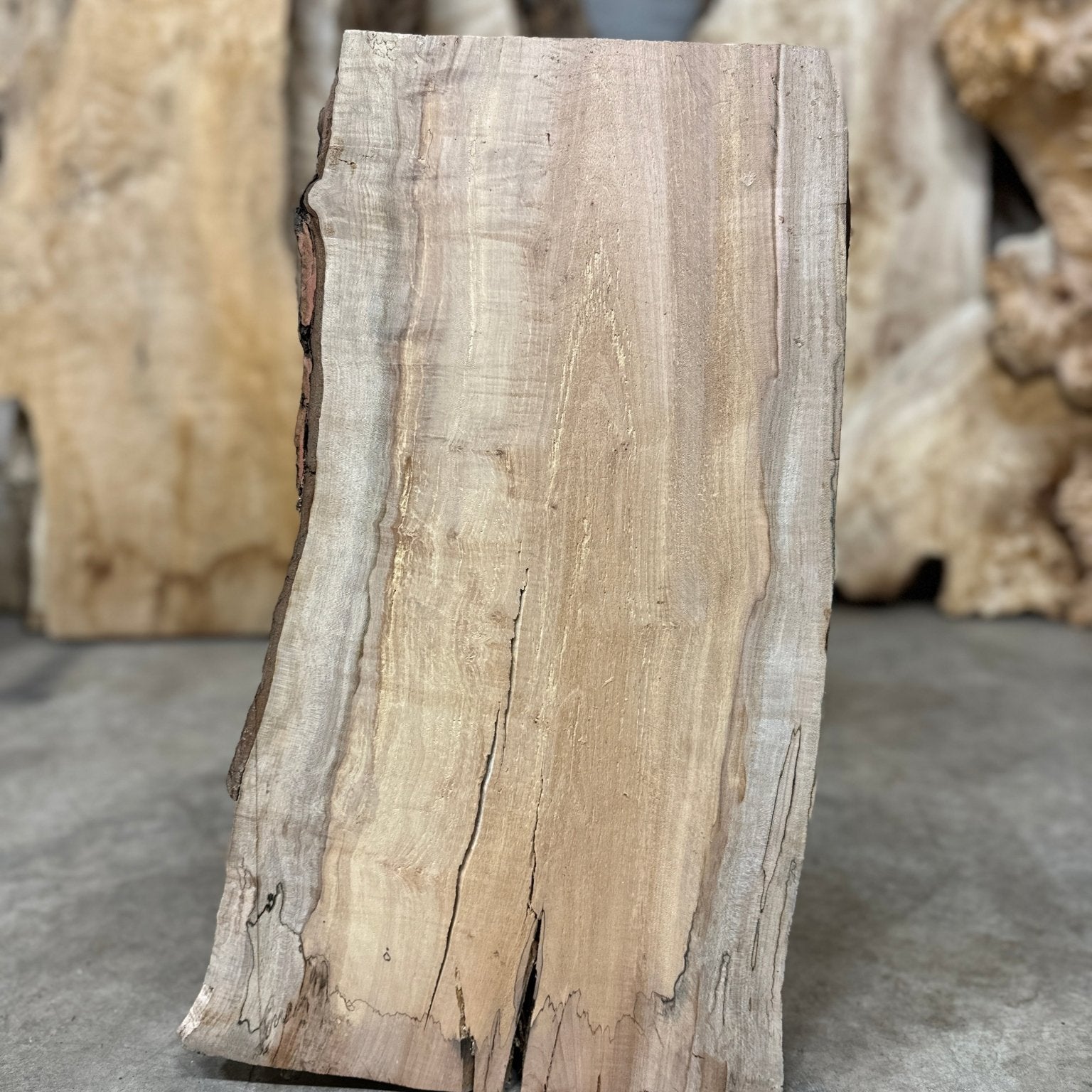 LiveEdge Silver Maple | Silver Maple | Double Diamond