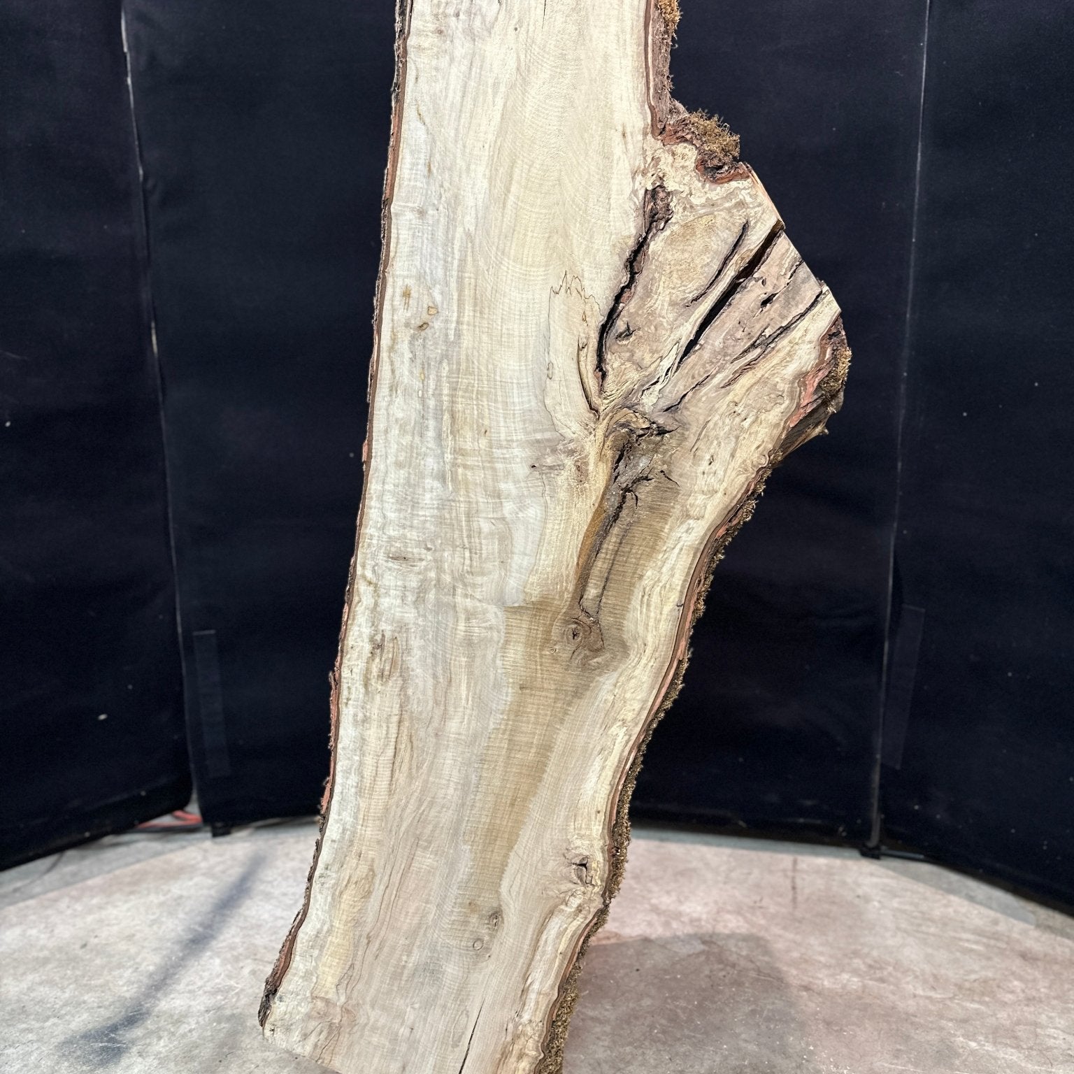 LiveEdge Silver Maple | Silver Maple | Double Diamond
