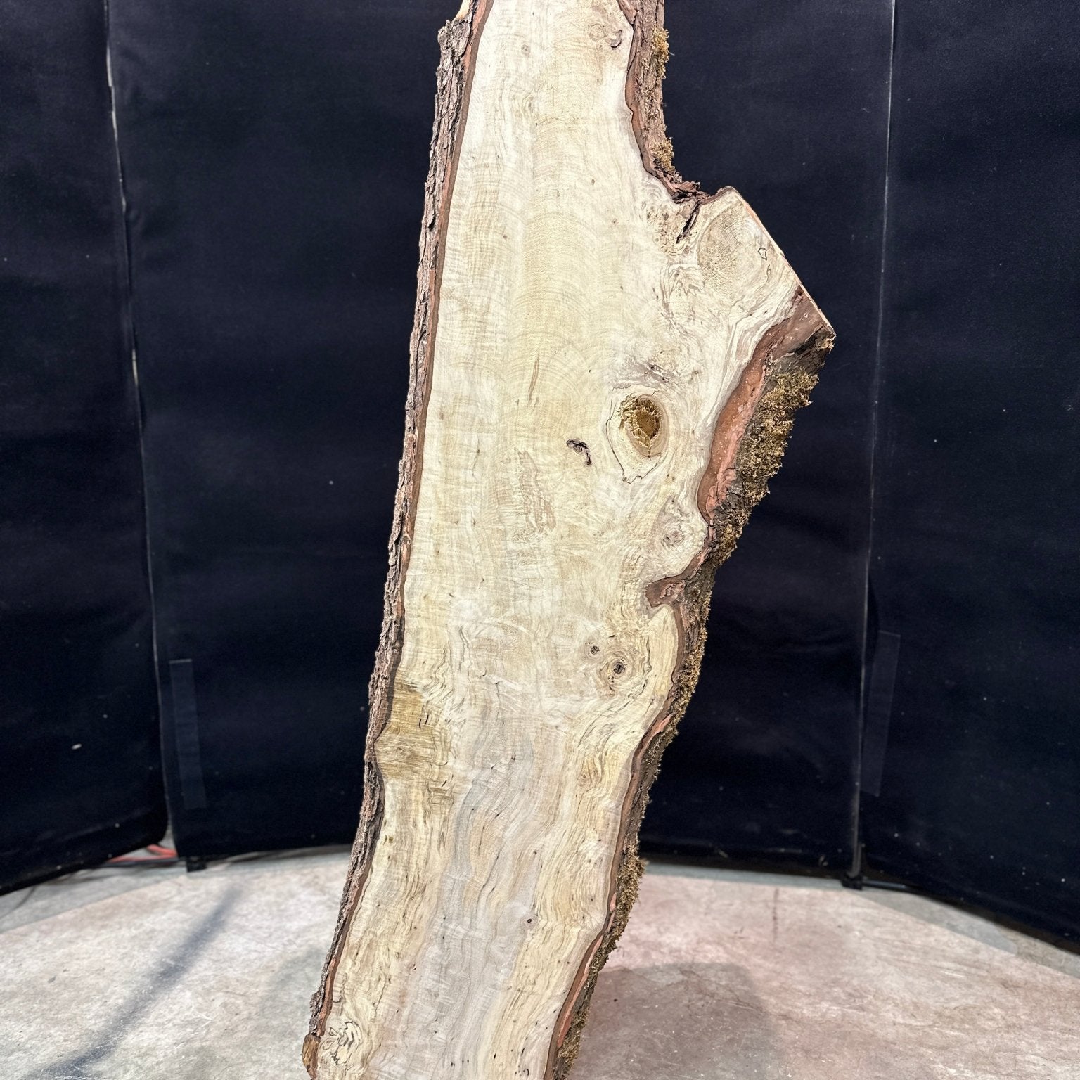 LiveEdge Silver Maple | Silver Maple | Double Diamond