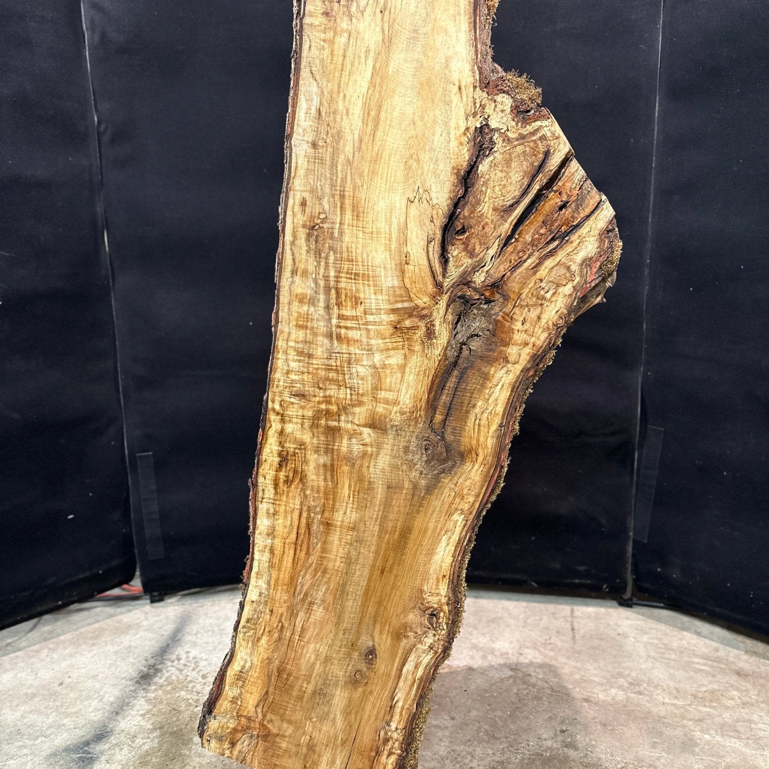 LiveEdge Silver Maple | Silver Maple | Double Diamond