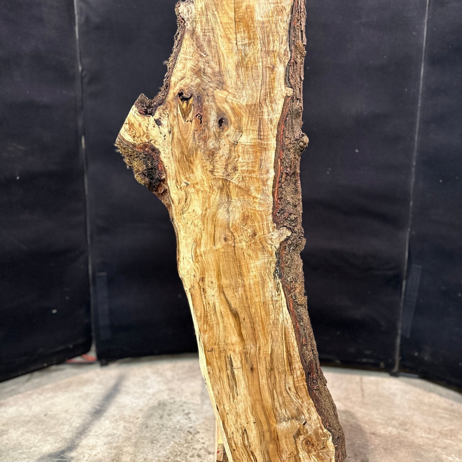 LiveEdge Silver Maple | Silver Maple | Double Diamond