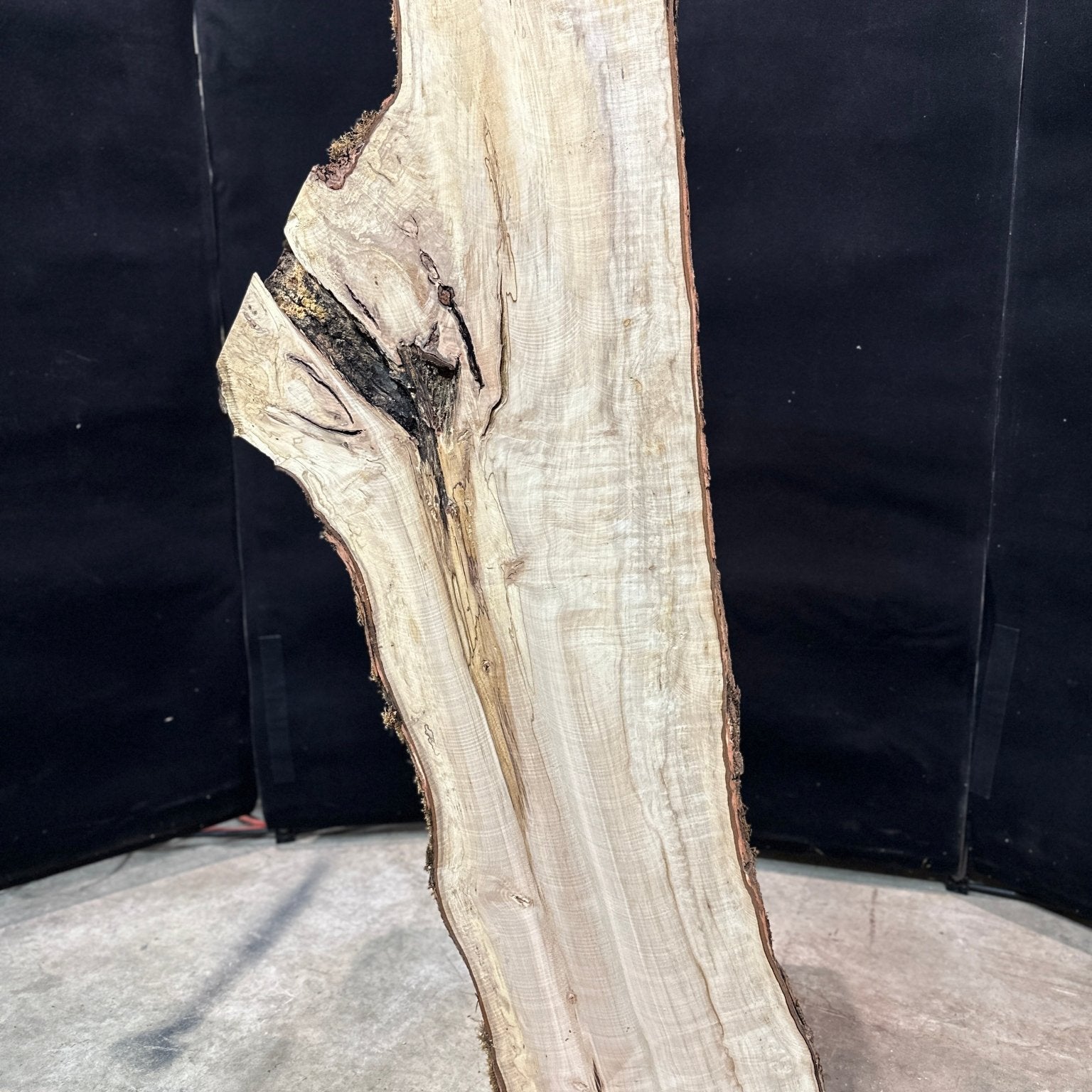 LiveEdge Silver Maple | Silver Maple | Double Diamond
