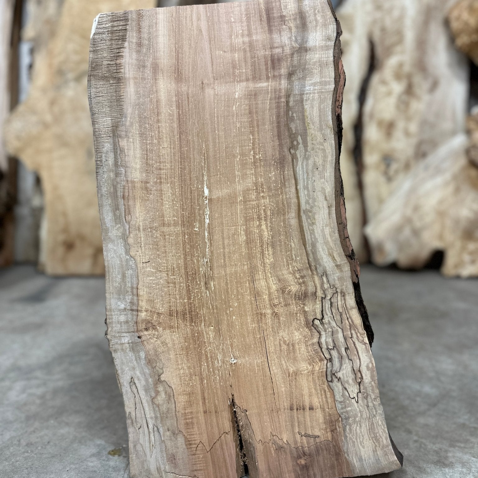 LiveEdge Silver Maple | Silver Maple | Double Diamond