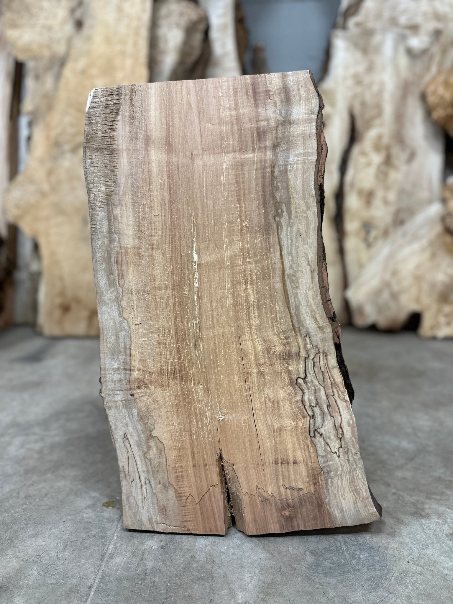 LiveEdge Silver Maple | Silver Maple | Double Diamond