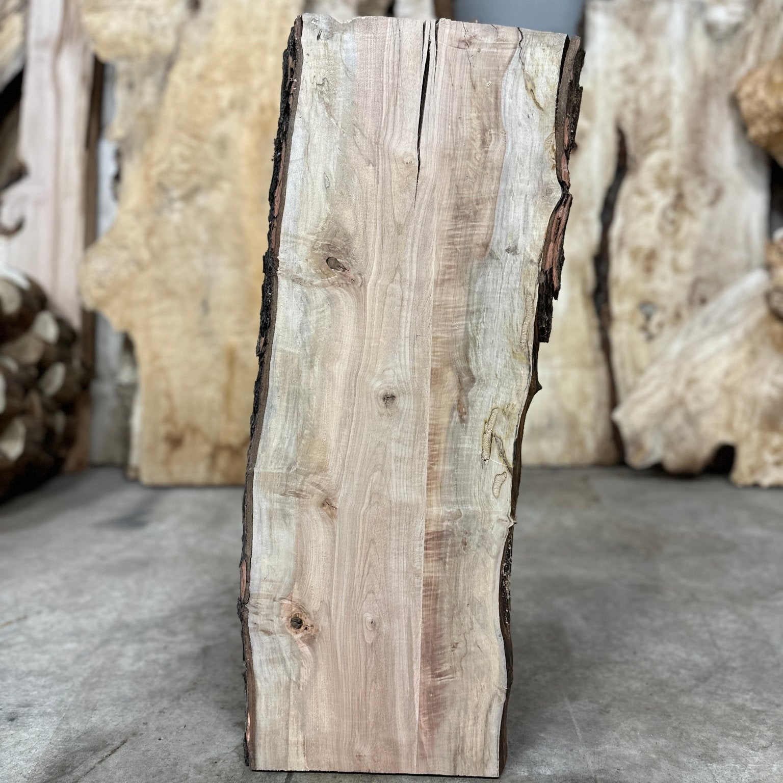 LiveEdge Silver Maple | Silver Maple | Double Diamond