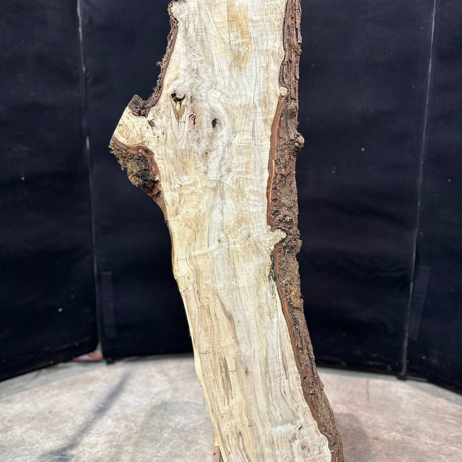 LiveEdge Silver Maple | Silver Maple | Double Diamond