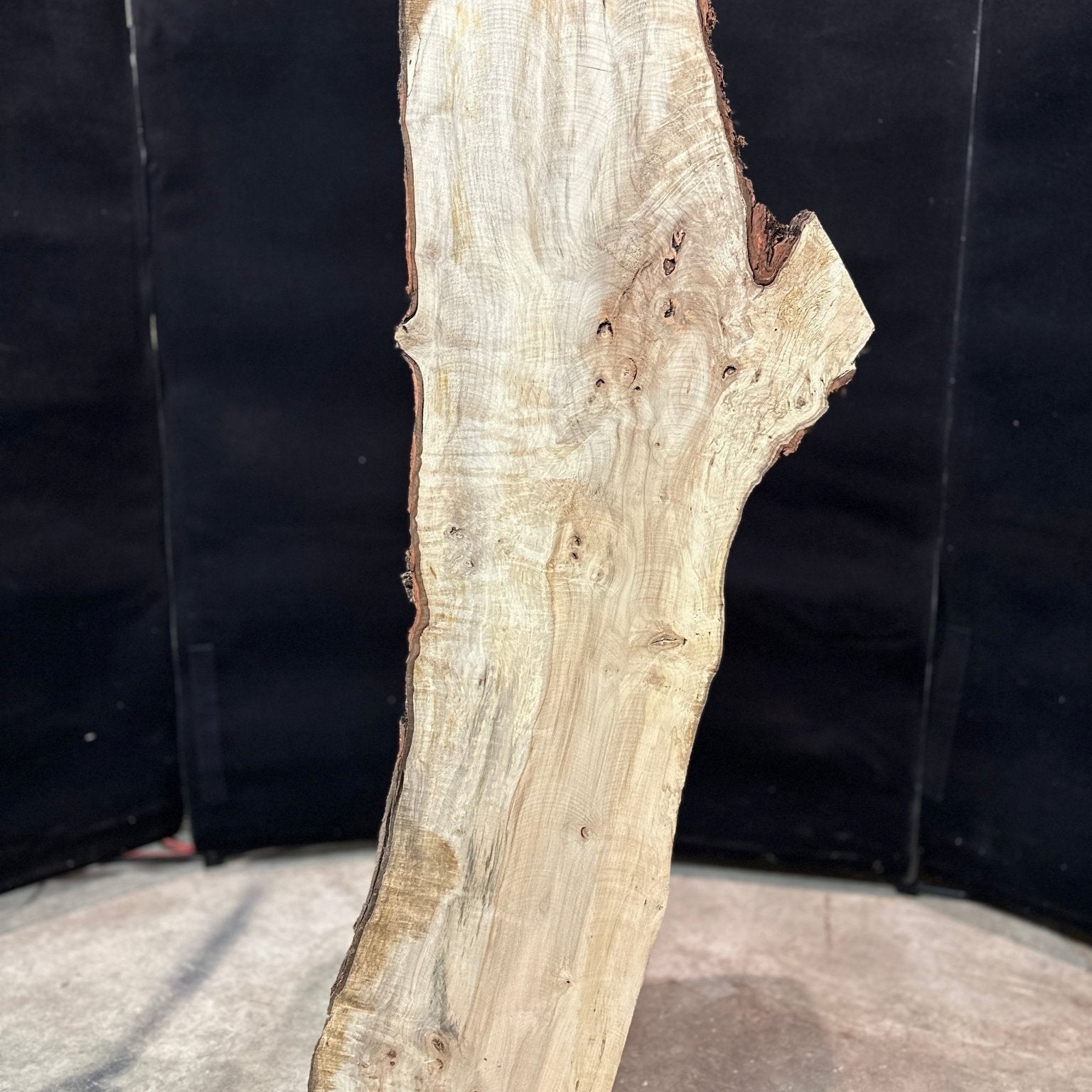 LiveEdge Silver Maple | Silver Maple | Double Diamond