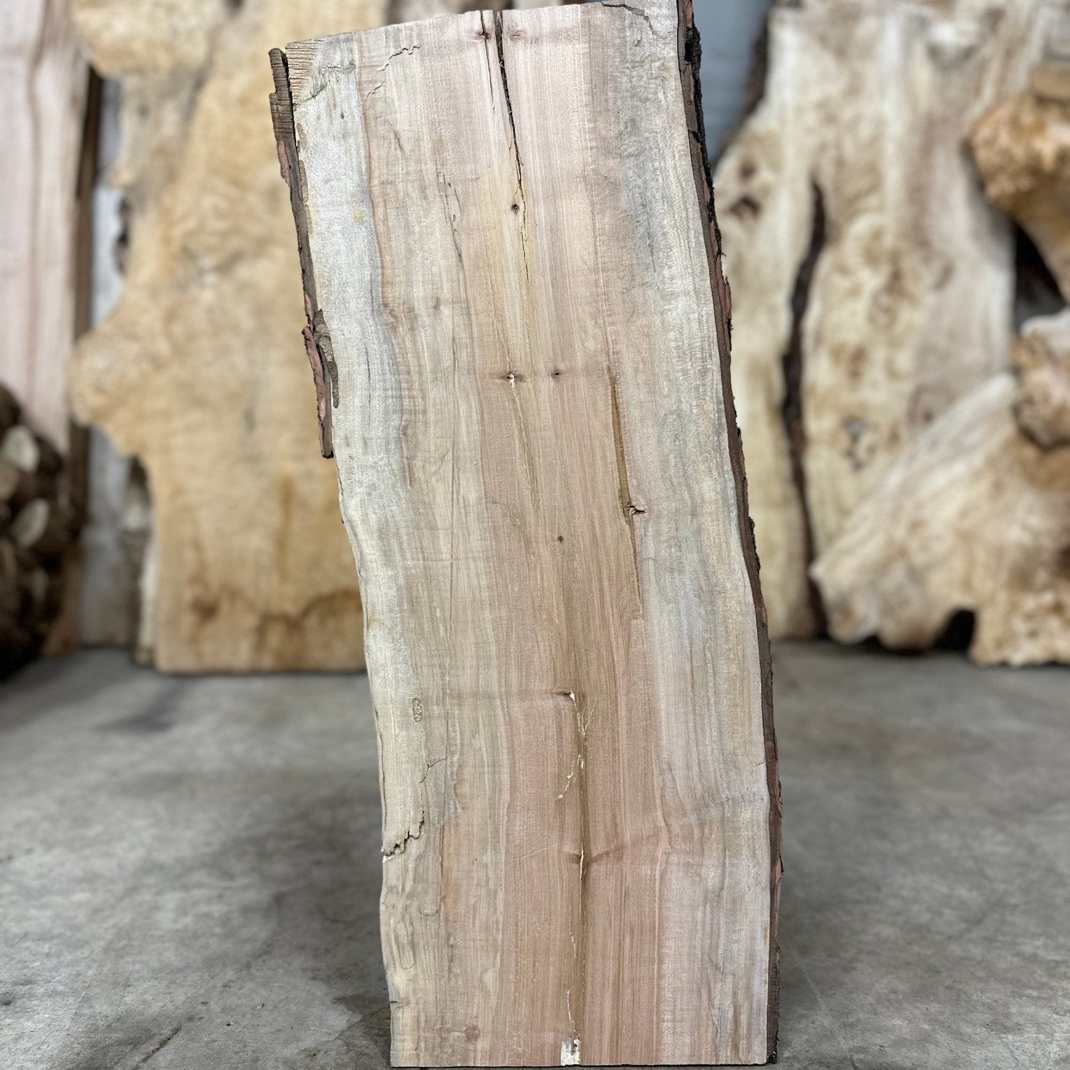 LiveEdge Silver Maple | Silver Maple | Double Diamond