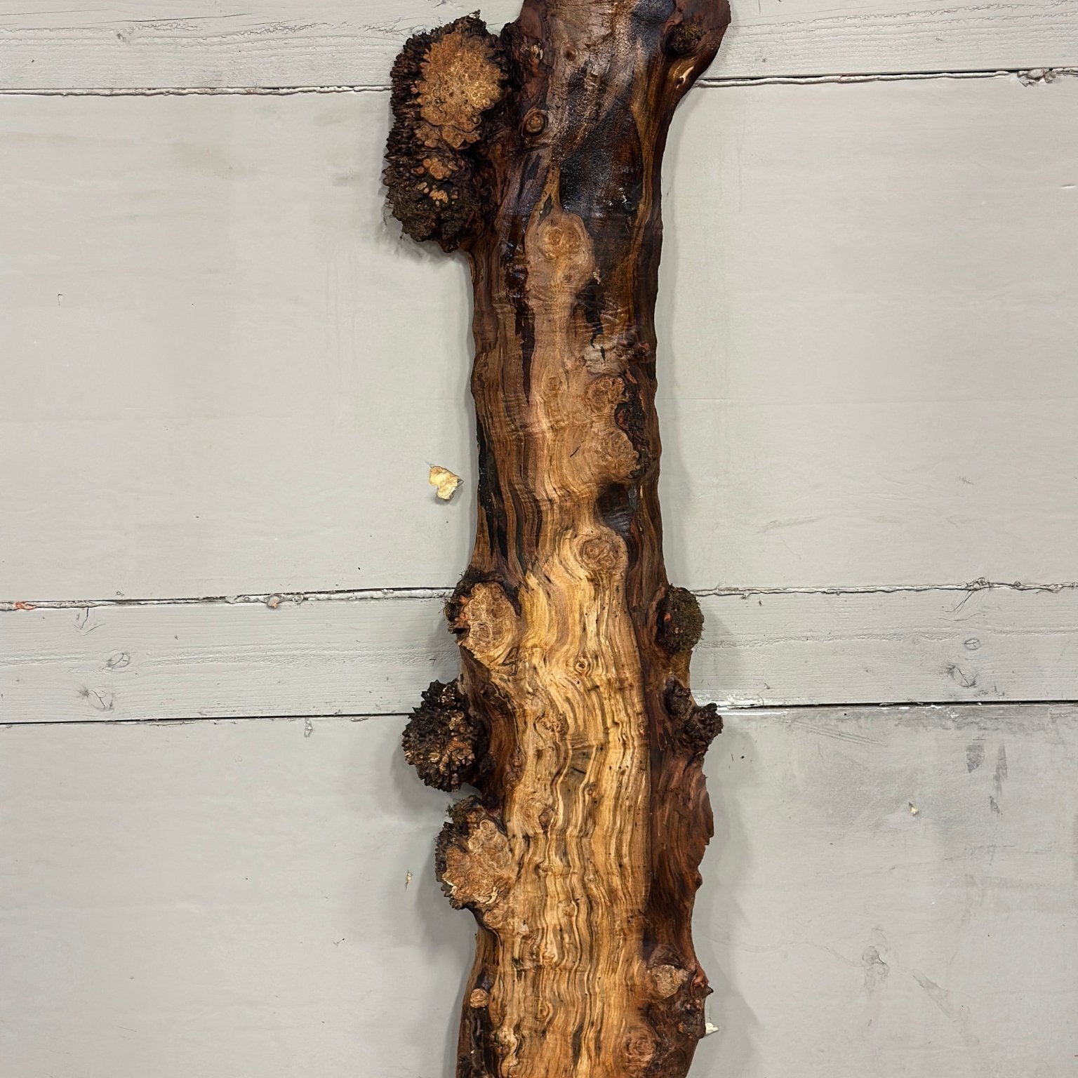 LiveEdge Silver Maple | Silver Maple | Double Diamond | BGDDSM718