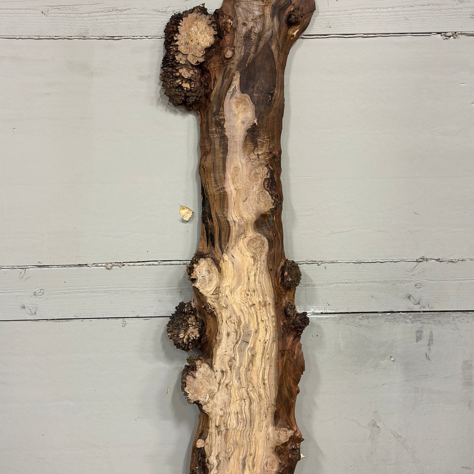LiveEdge Silver Maple | Silver Maple | Double Diamond | BGDDSM718