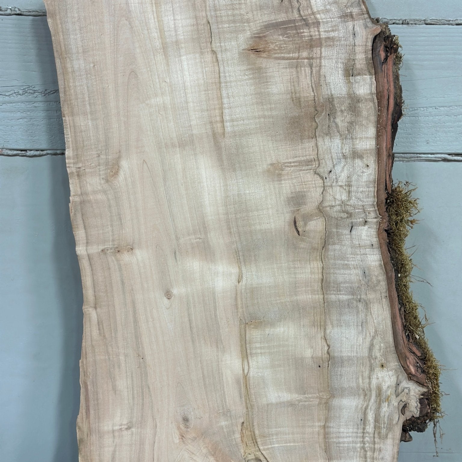 LiveEdge Silver Maple | Silver Maple | Double Diamond | BGDDSM731
