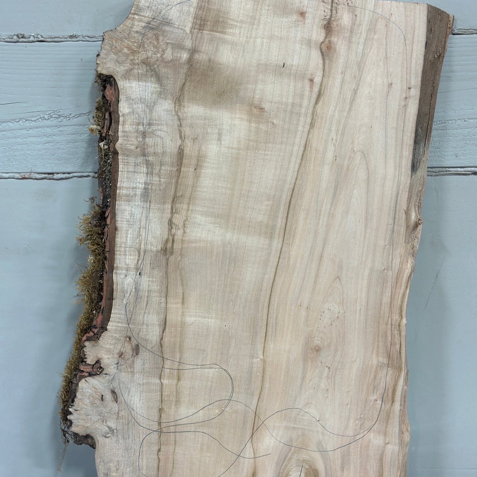 LiveEdge Silver Maple | Silver Maple | Double Diamond | BGDDSM731