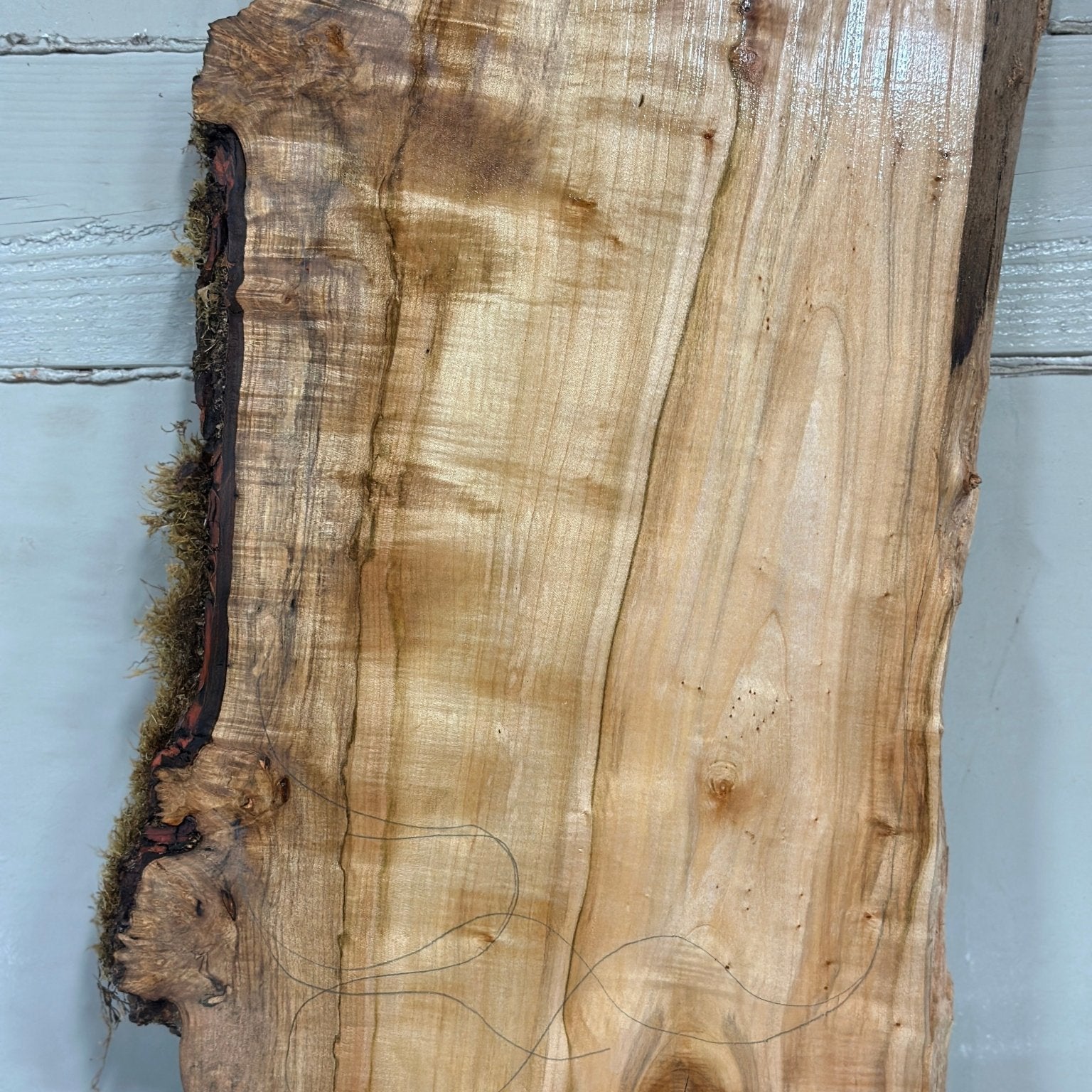 LiveEdge Silver Maple | Silver Maple | Double Diamond | BGDDSM731