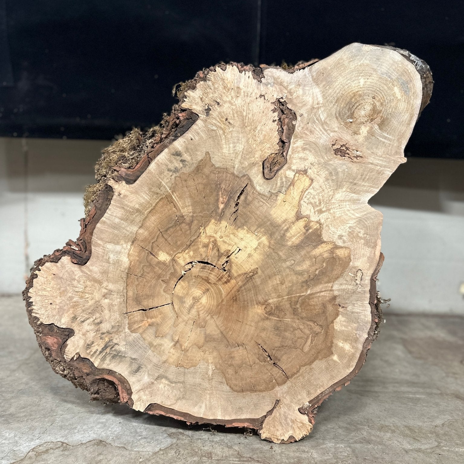 LiveEdge Silver Maple | Silver Maple | Double Diamond | BGDDSMCS.850