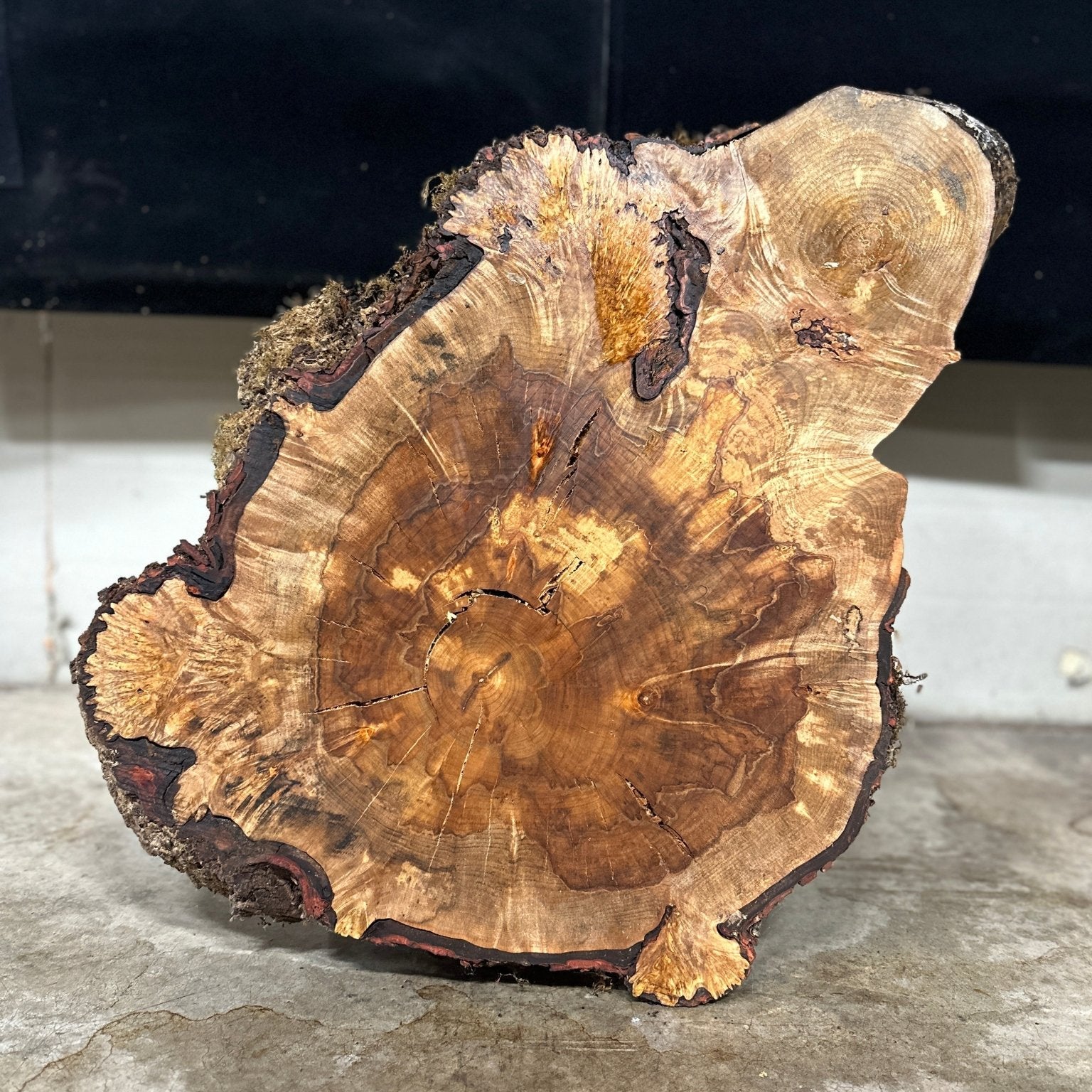 LiveEdge Silver Maple | Silver Maple | Double Diamond | BGDDSMCS.850