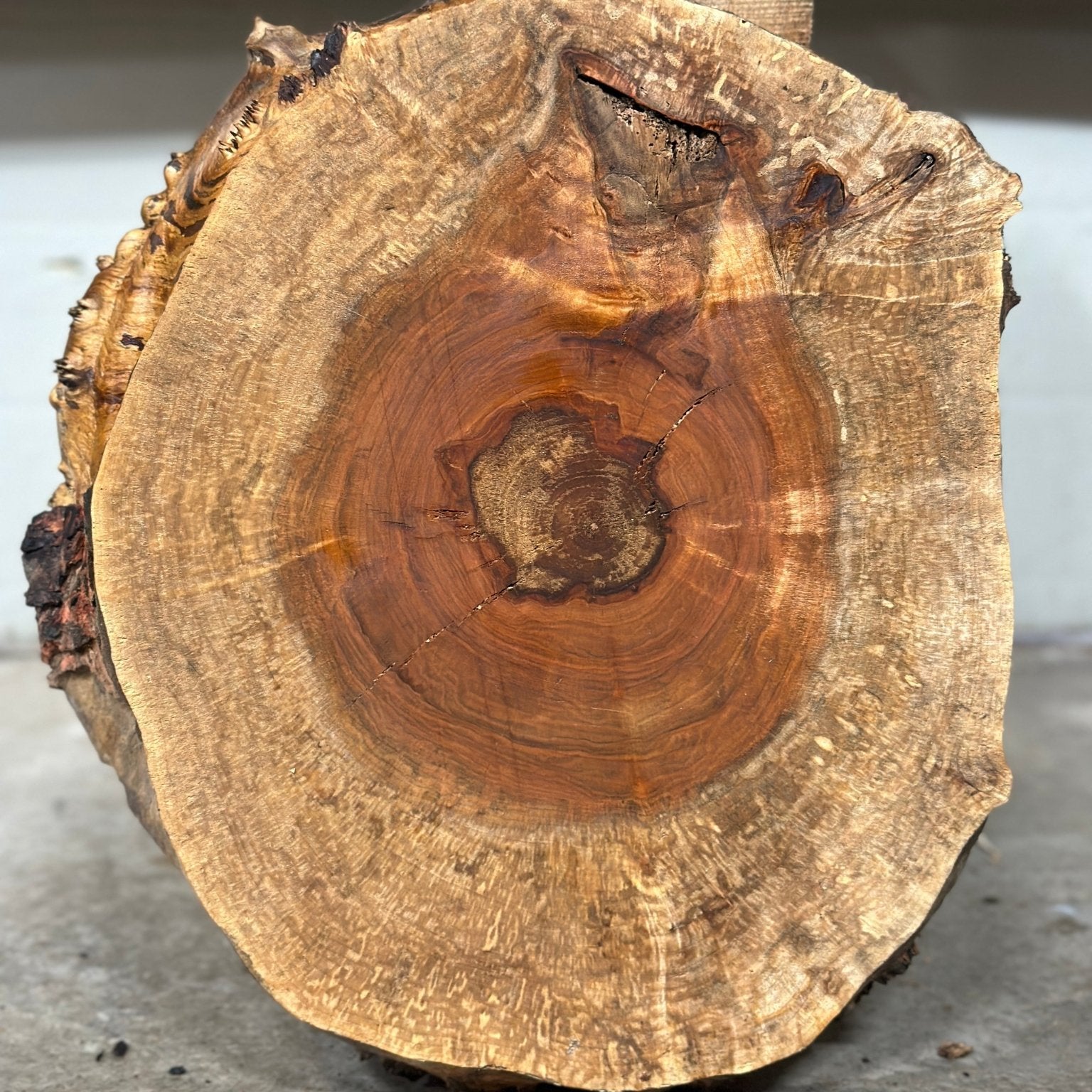 LiveEdge Silver Maple | Silver Maple | Double Diamond | BGDDSMCS.860
