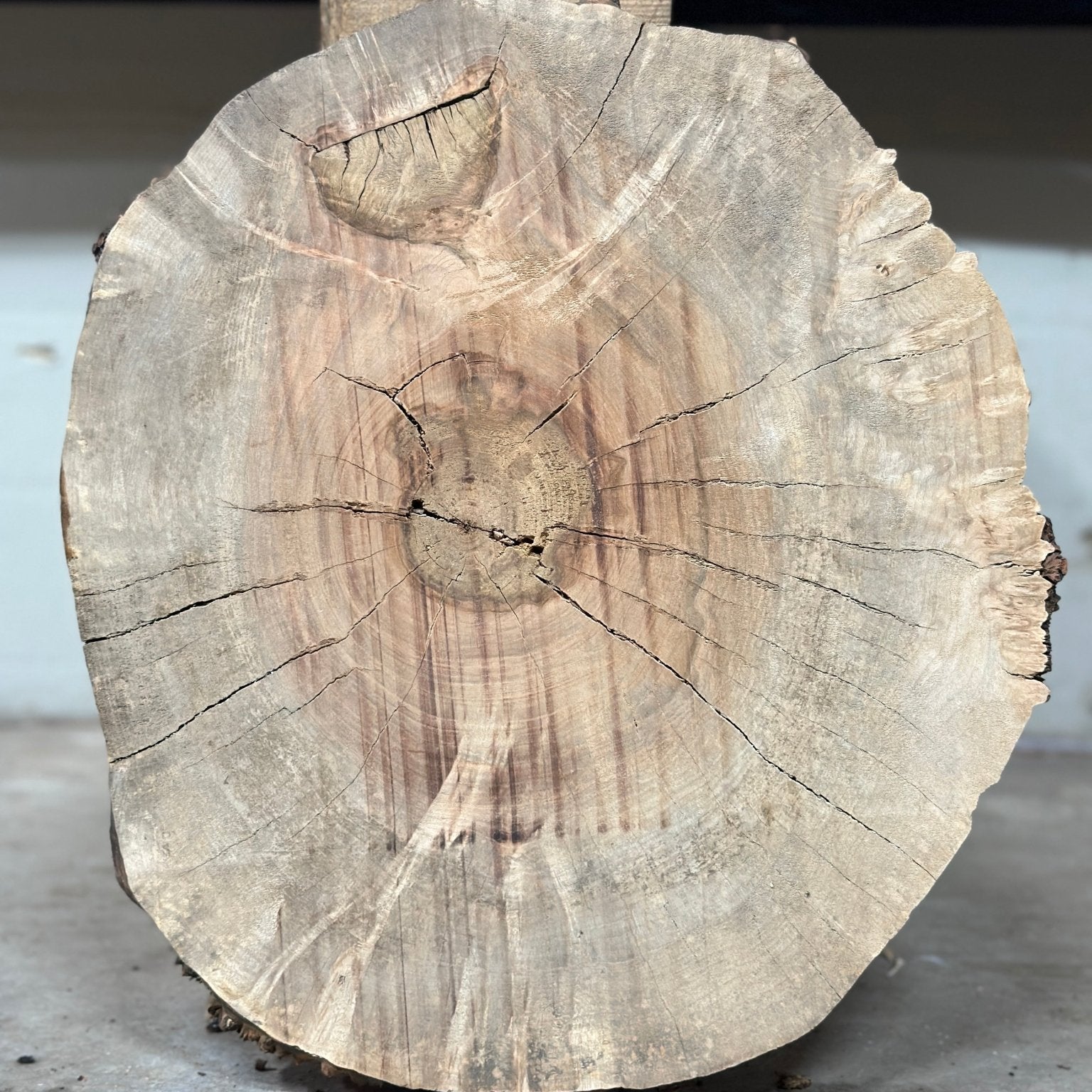 LiveEdge Silver Maple | Silver Maple | Double Diamond | BGDDSMCS.860