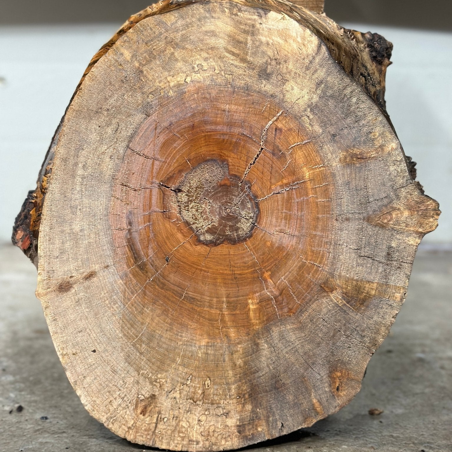 LiveEdge Silver Maple | Silver Maple | Double Diamond | BGDDSMCS.861