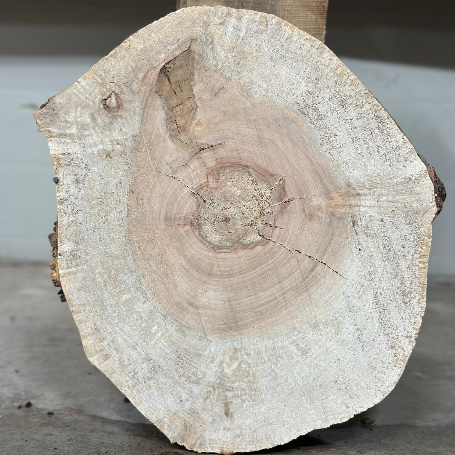LiveEdge Silver Maple | Silver Maple | Double Diamond | BGDDSMCS.861
