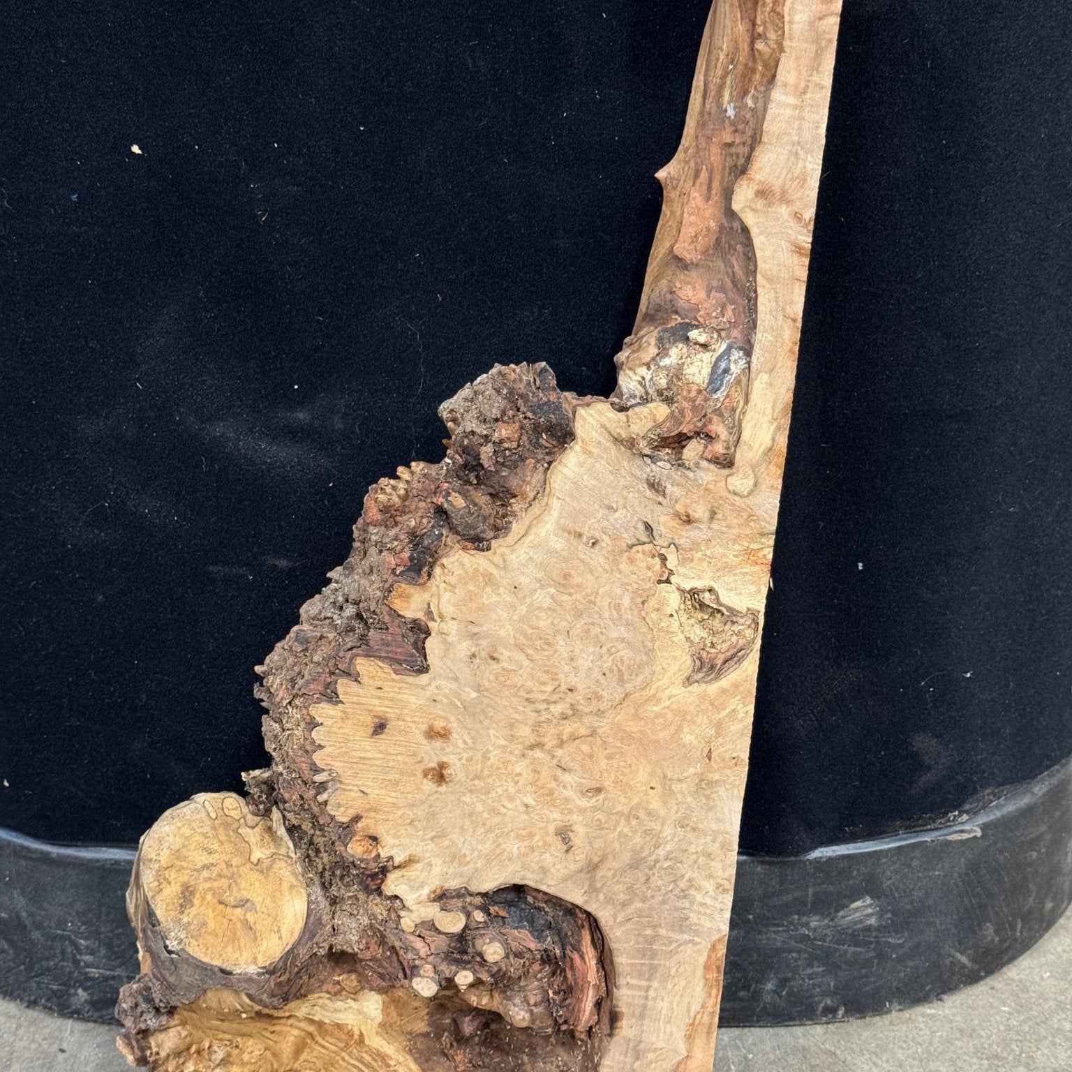 LiveEdge Silver Maple | Silver Maple | Double Diamond | BGDDSMCS.897